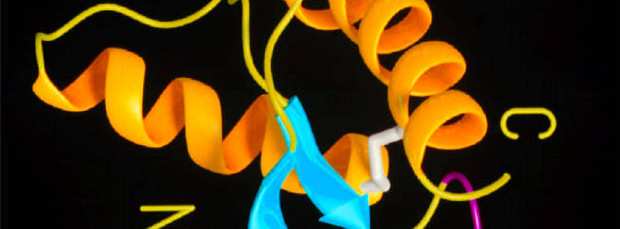 Wie fügen sich Proteinbausteine zu komplexen und irregulären Strukturen zusammen?