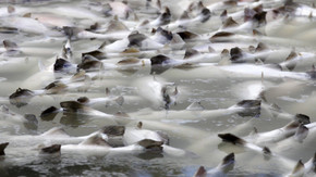 Bilder des Tages: Für den einen Moment