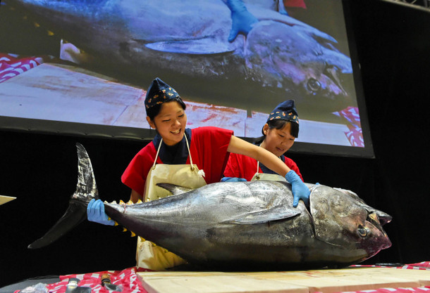 22. Oktober 2015. Zwei japanische Food-Spezialistinnen zerlegen einen stattlichen, 60kg schweren Thunfisch. Sie demonstrieren dies vor ihrem Publikum auf der Oishii Japan food and beverage Schau in Singapur, wo sich Japans reiche Esskultur präsentiert.