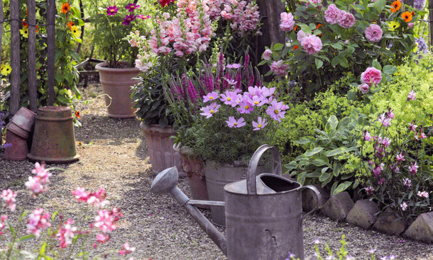 Bilderstrecke zu: Gärtnern boomt: Eingepflanzte Glücksgefühle - Bild 1