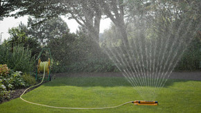 Die feinen Tropfen des weit gefächerten Strahls prasseln auf die Blätter nieder, gezielten Beschuss aus dem Gartenschlauch mögen sie nicht