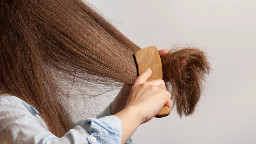 Haarbürste Test: Haarbuerste Aufmacher