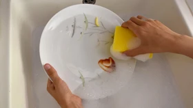 Spülmittel Test: Spülen