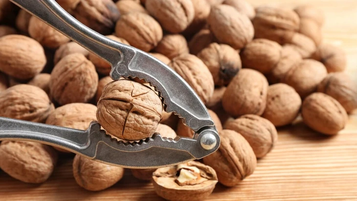 Nussknacker Test: Aufmacher Startseite Nussknacker