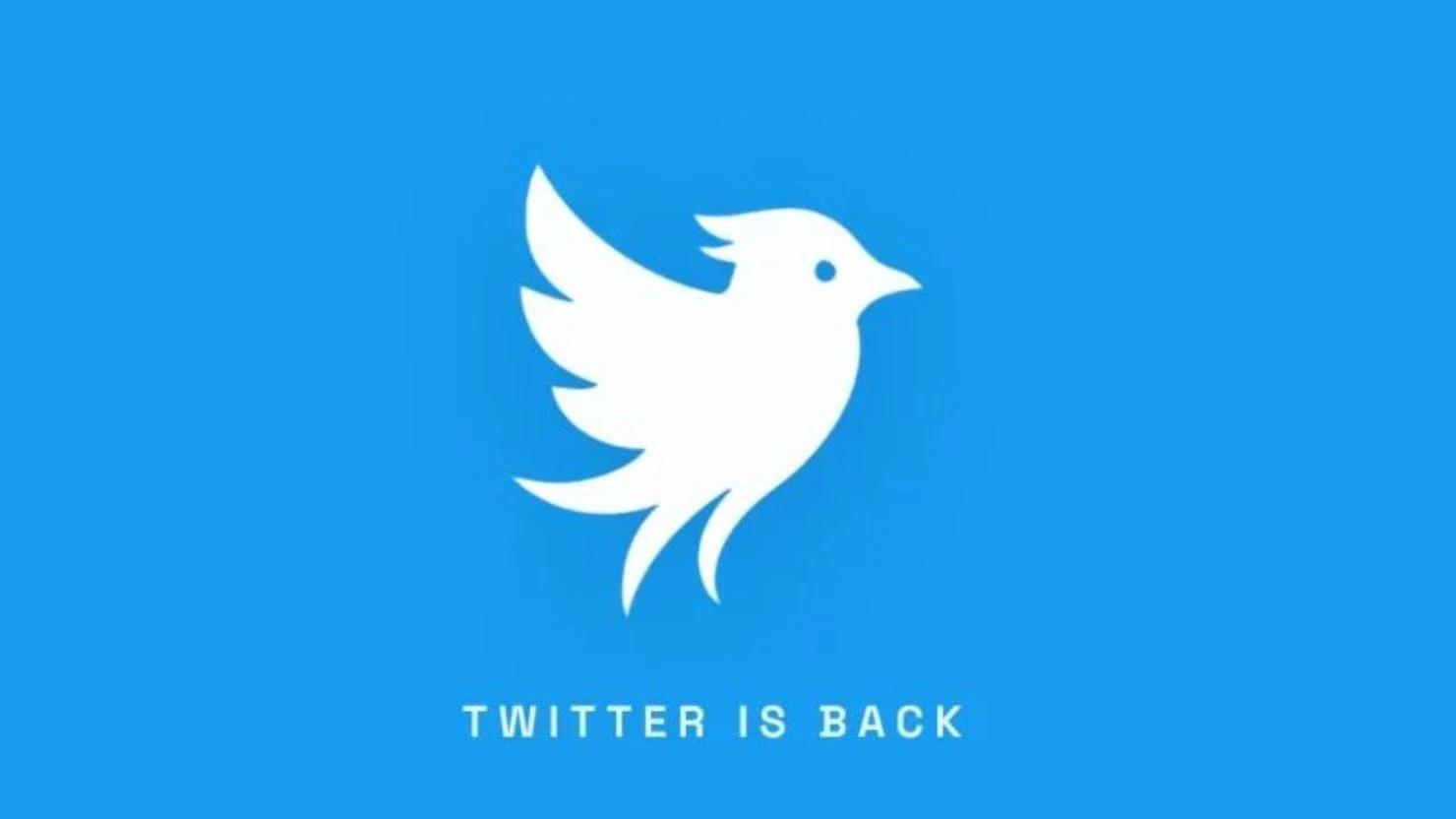 Weckt Erinnerungen: Der Bluebird kommt mit ein paar Federn daher, soll aber bewusst Assoziationen unter früheren Twitter-Nutzern wecken. - george_neba/Instagram