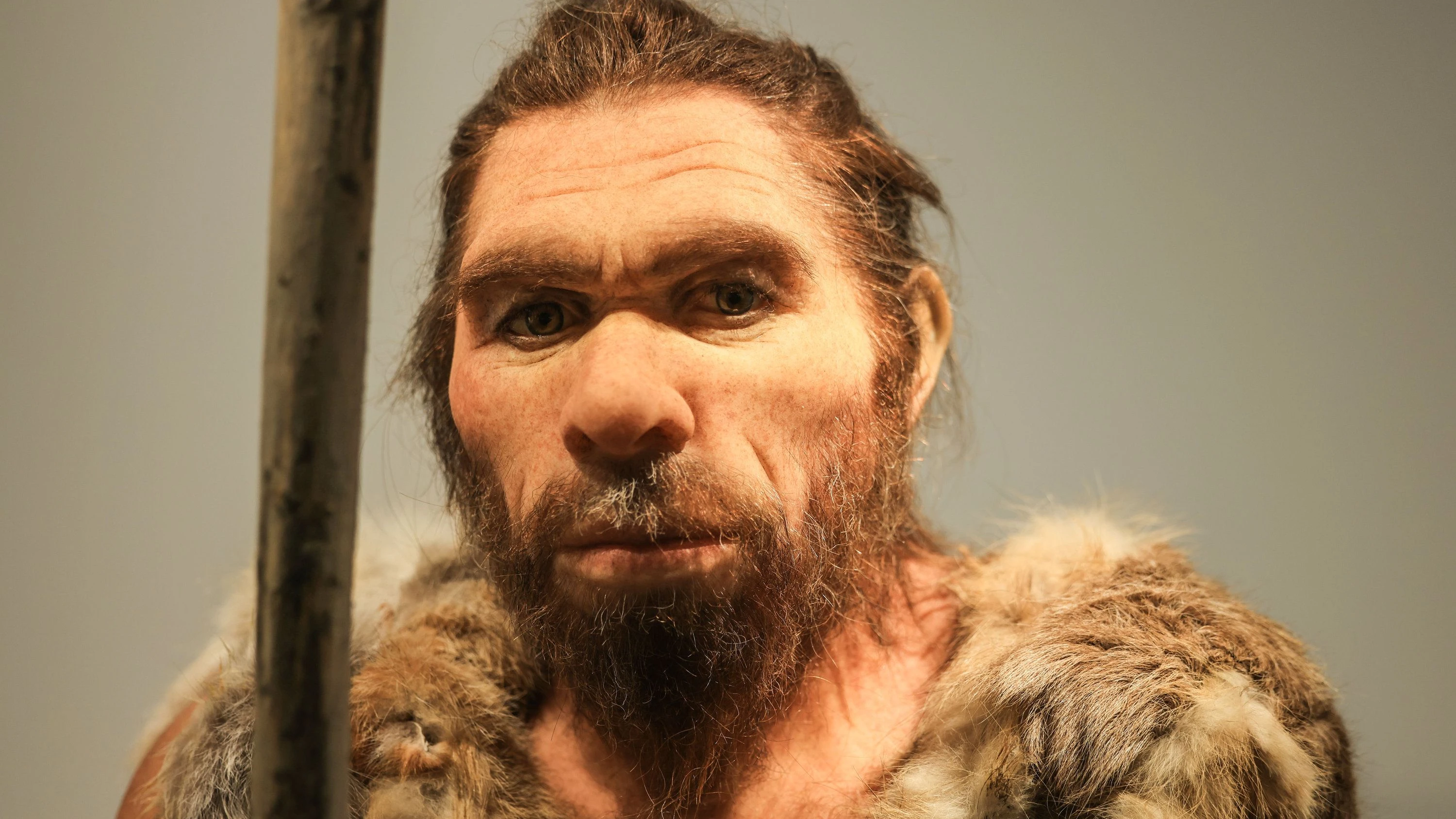 Sex im Neandertal: Wer mit wem in der Eiszeit Sex im Neandertal: Wer mit wem in der Eiszeit