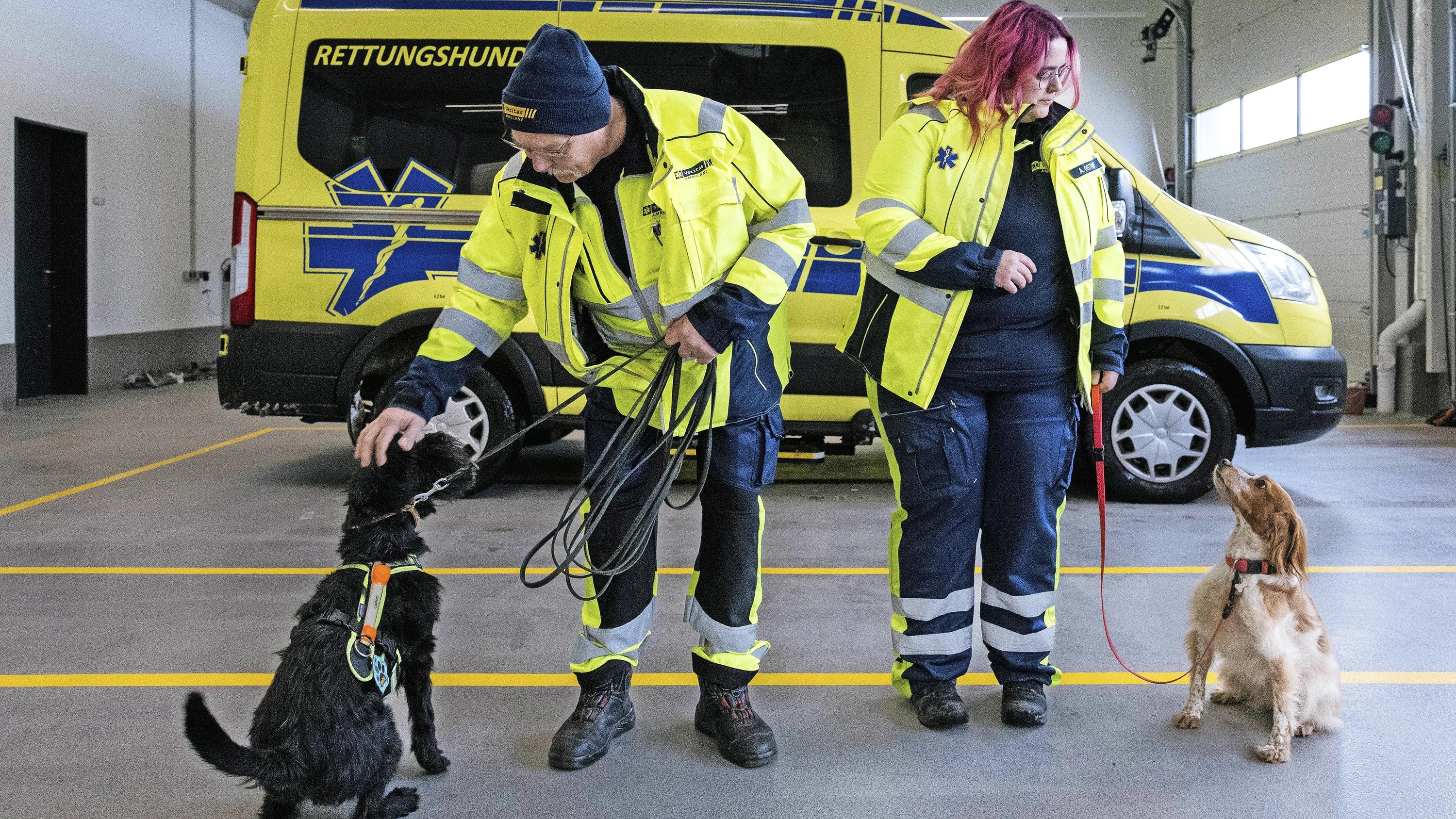 Vermisstensuche: „Für die Hunde ist ein Einsatz Hochleistungssport“