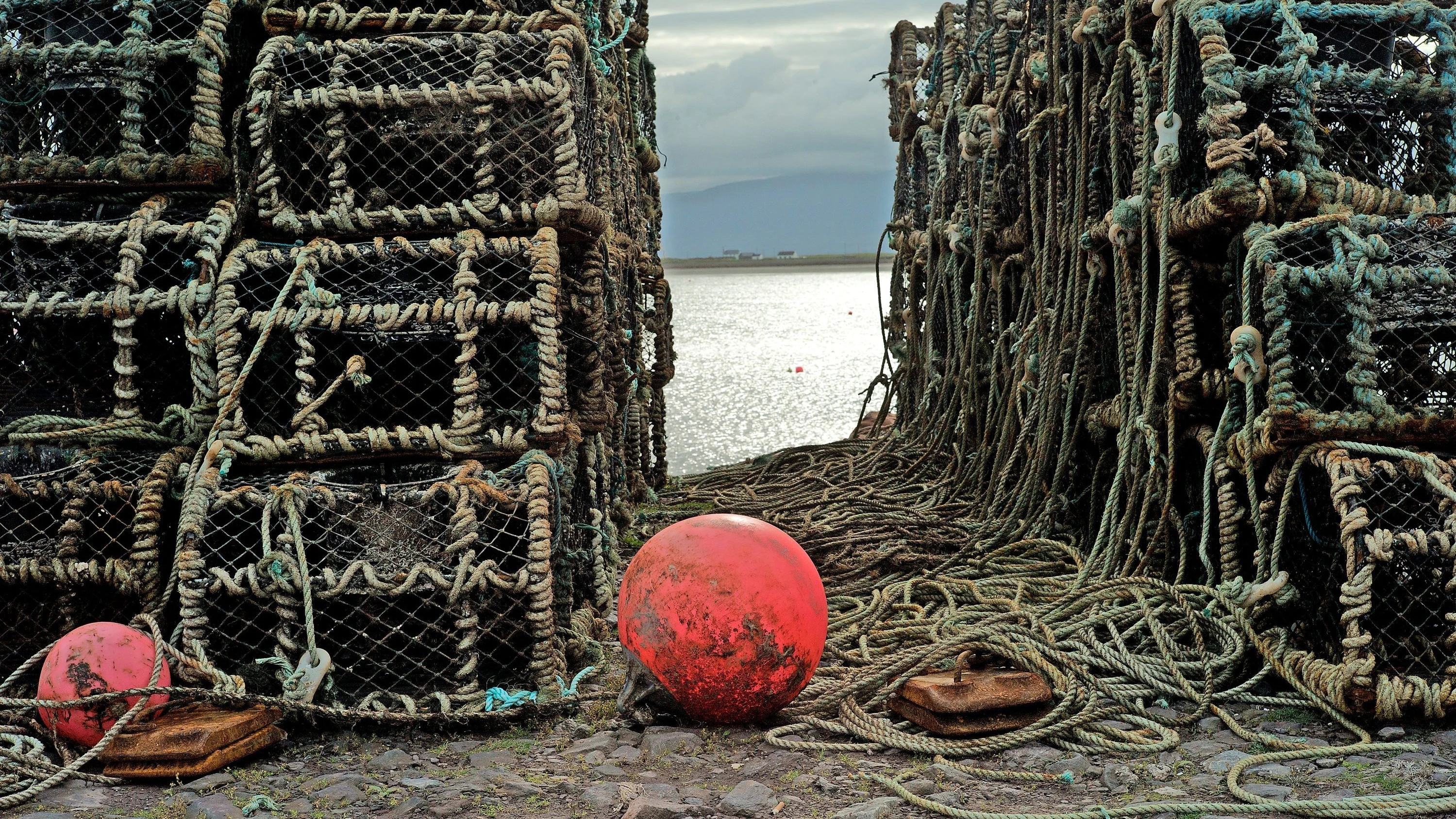 Irischer Krimi „Wilde Häuser“: Herauskatapultiert aus dem eigenen Kopf