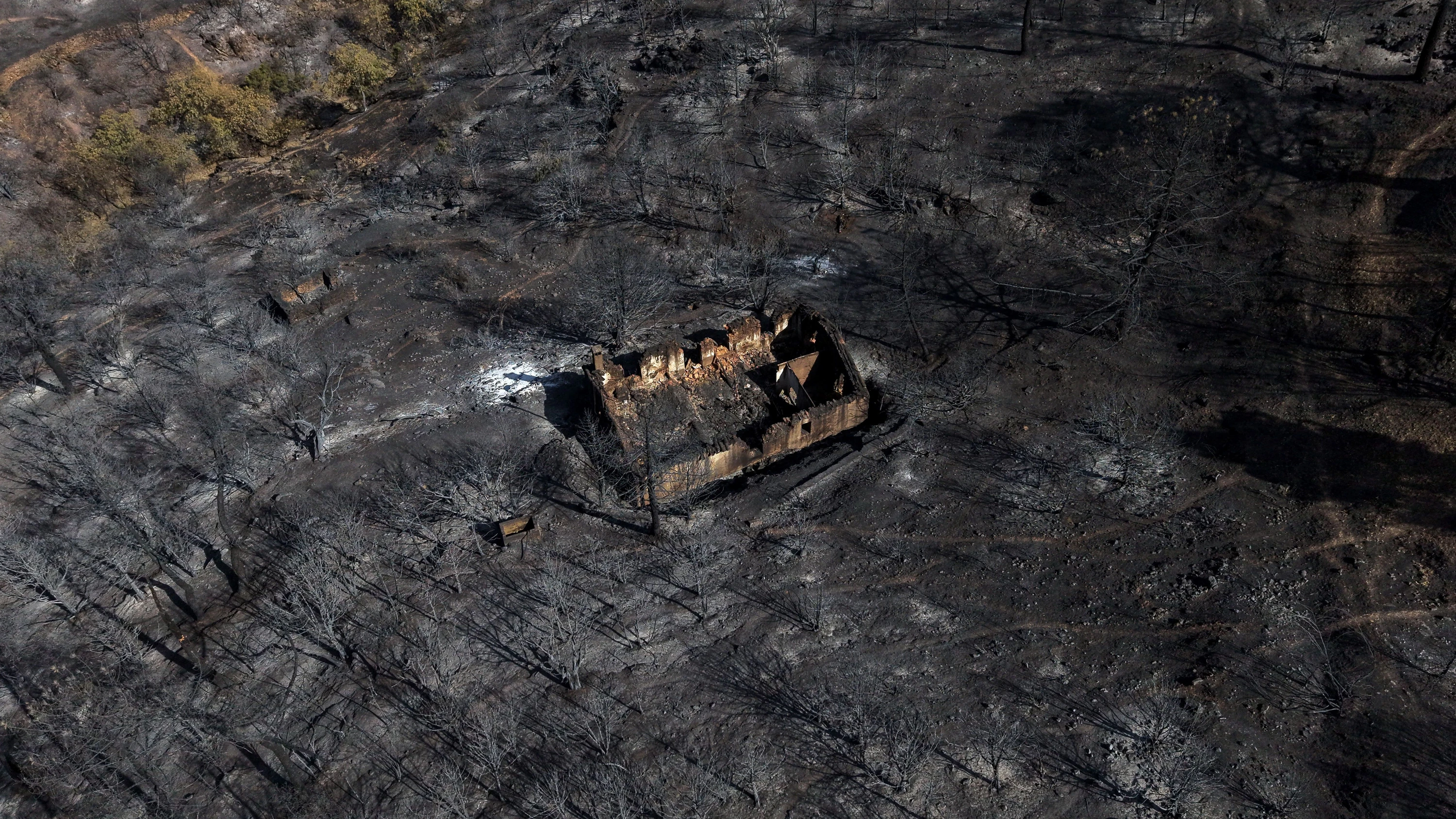 Nichts mehr übrig: In Spanien richten die Waldbrände verheerende Schäden an. - dpa