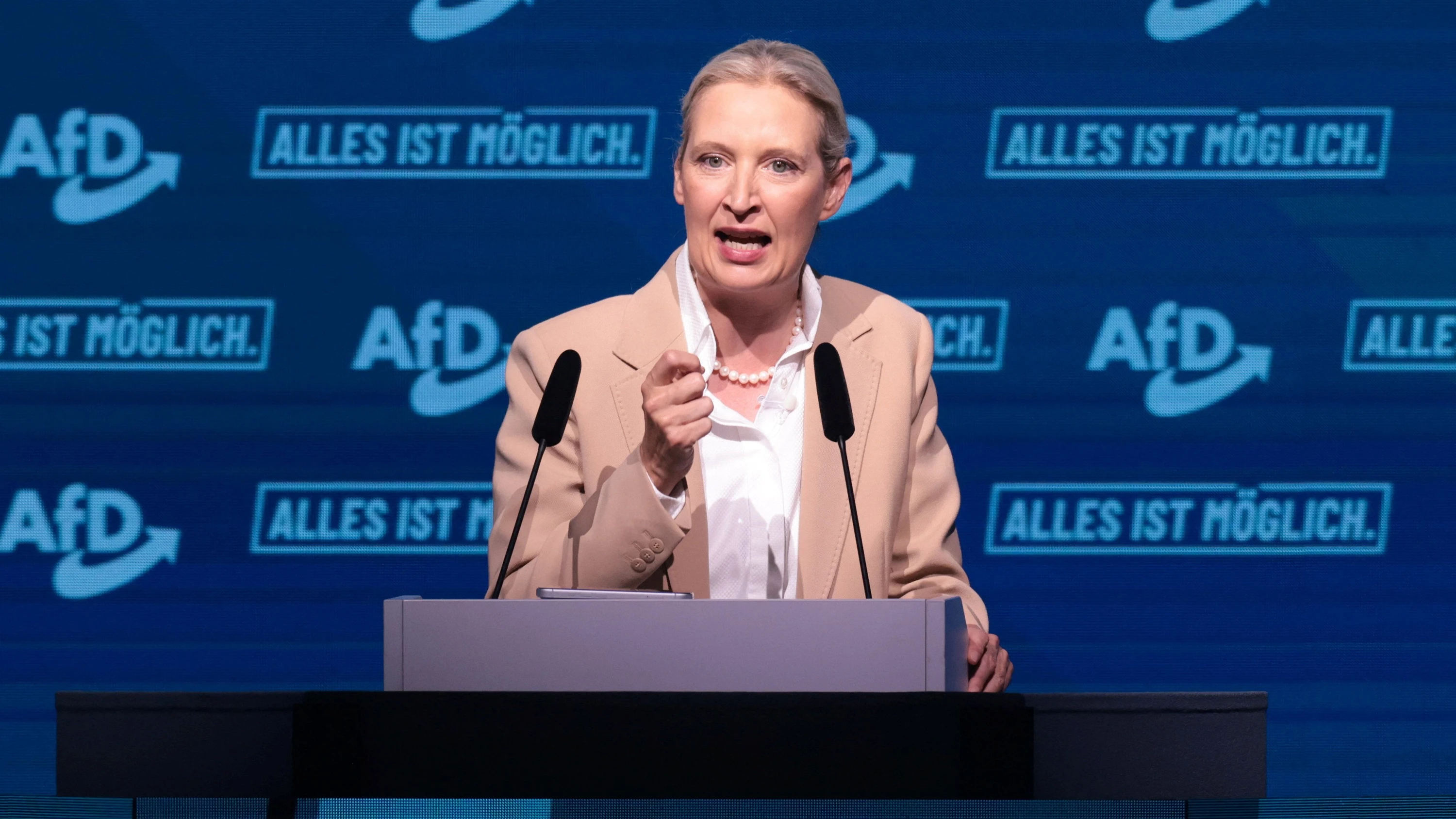 AfD und CDU: Wofür man Weidel danken muss AfD und CDU: Wofür man Weidel danken muss