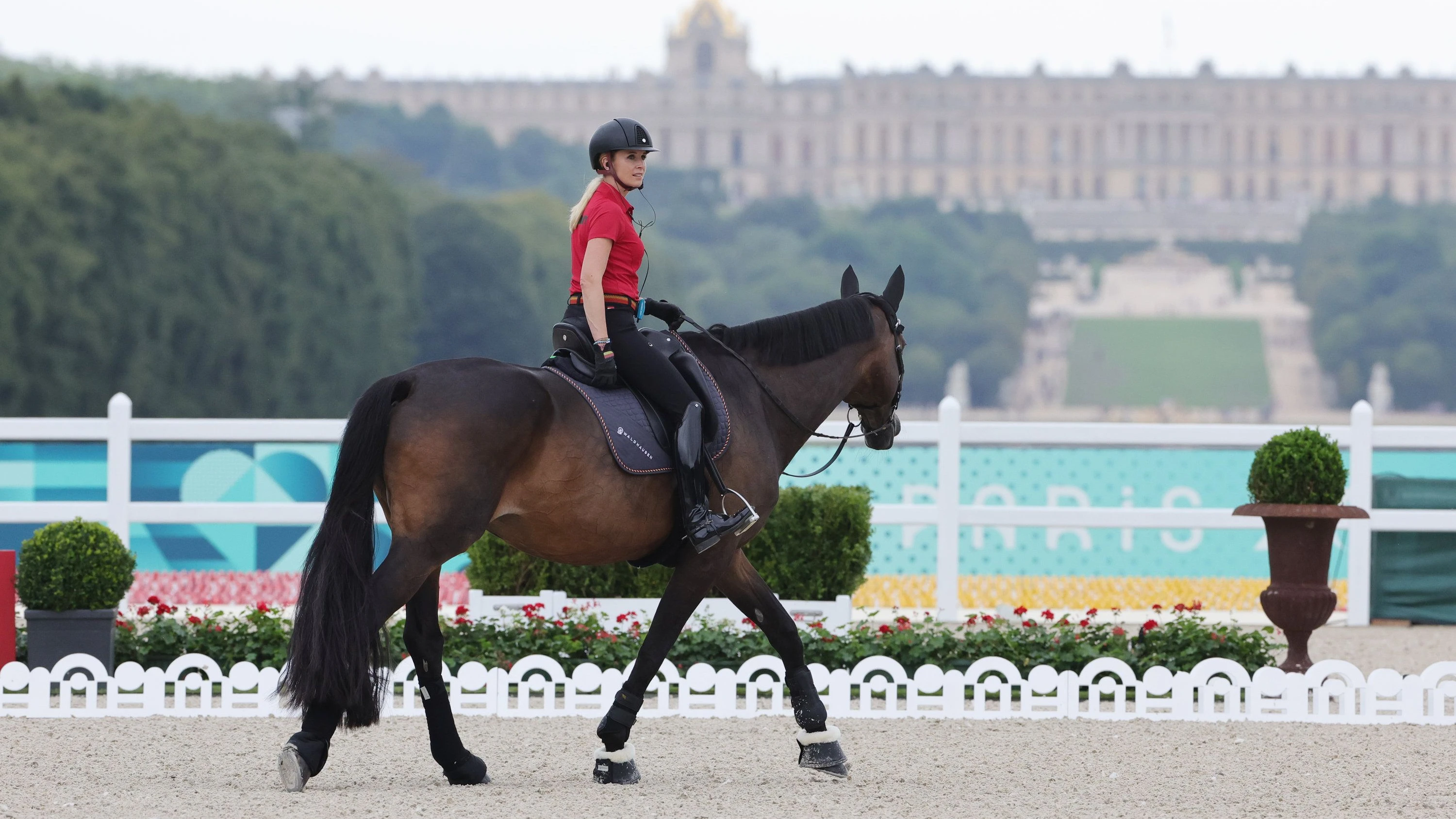 Rückschlag im Reitsport: Olympiasiegerin sagt für Dressur-WM in Aachen ab