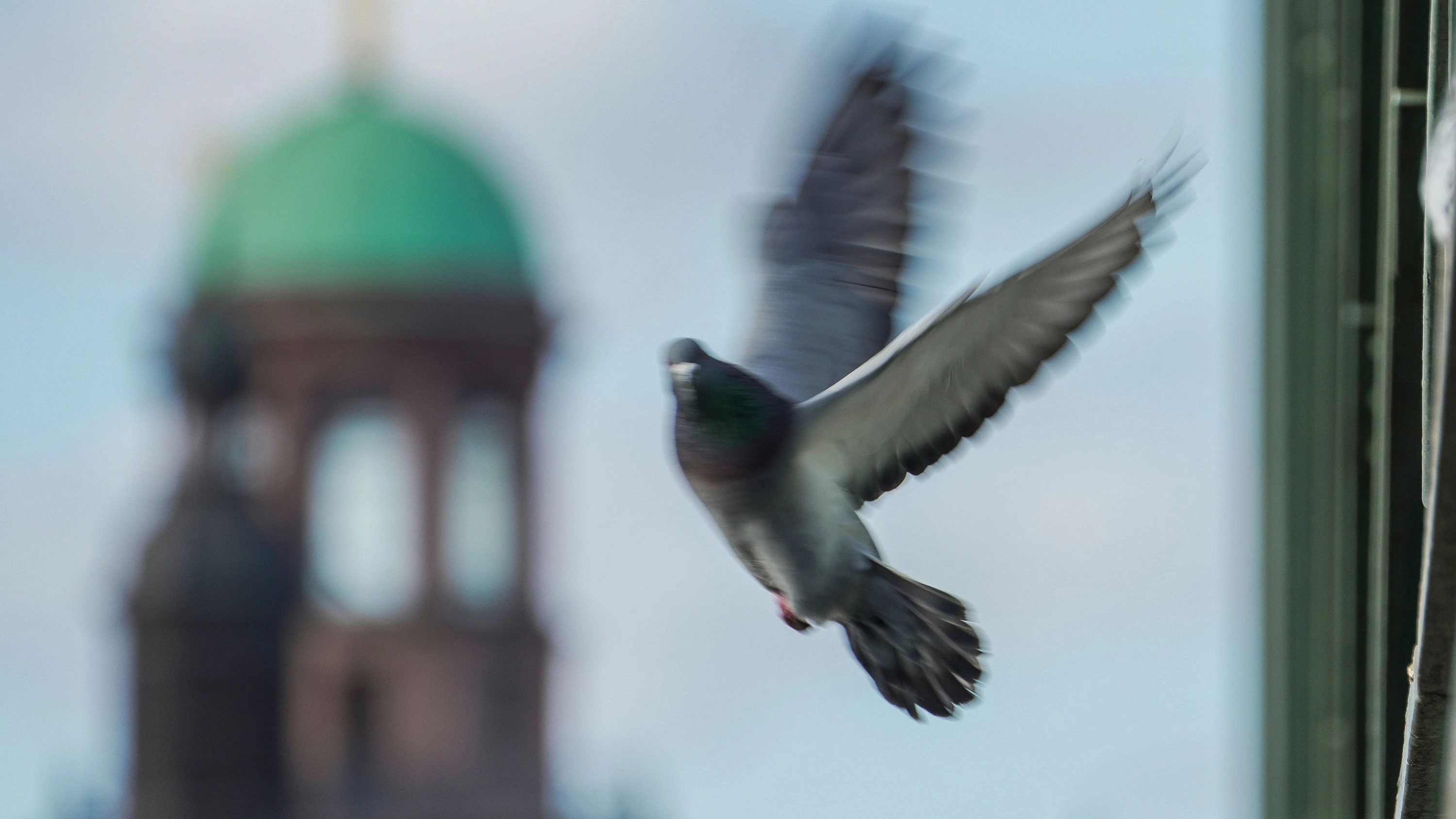 Psychiatrie-Kolumne Kopfsachen: Wie Sie Ihre Ängste loswerden