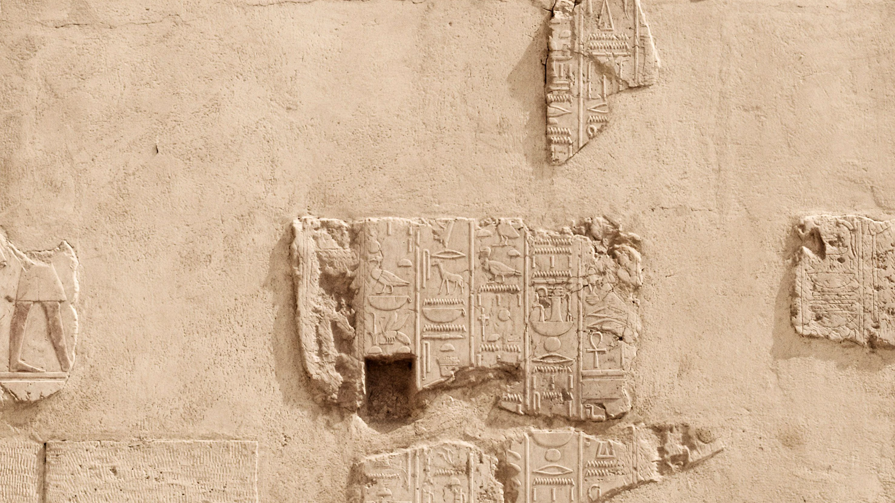 Giraffen im klimawandel: Ein Essayfilm par excellence
