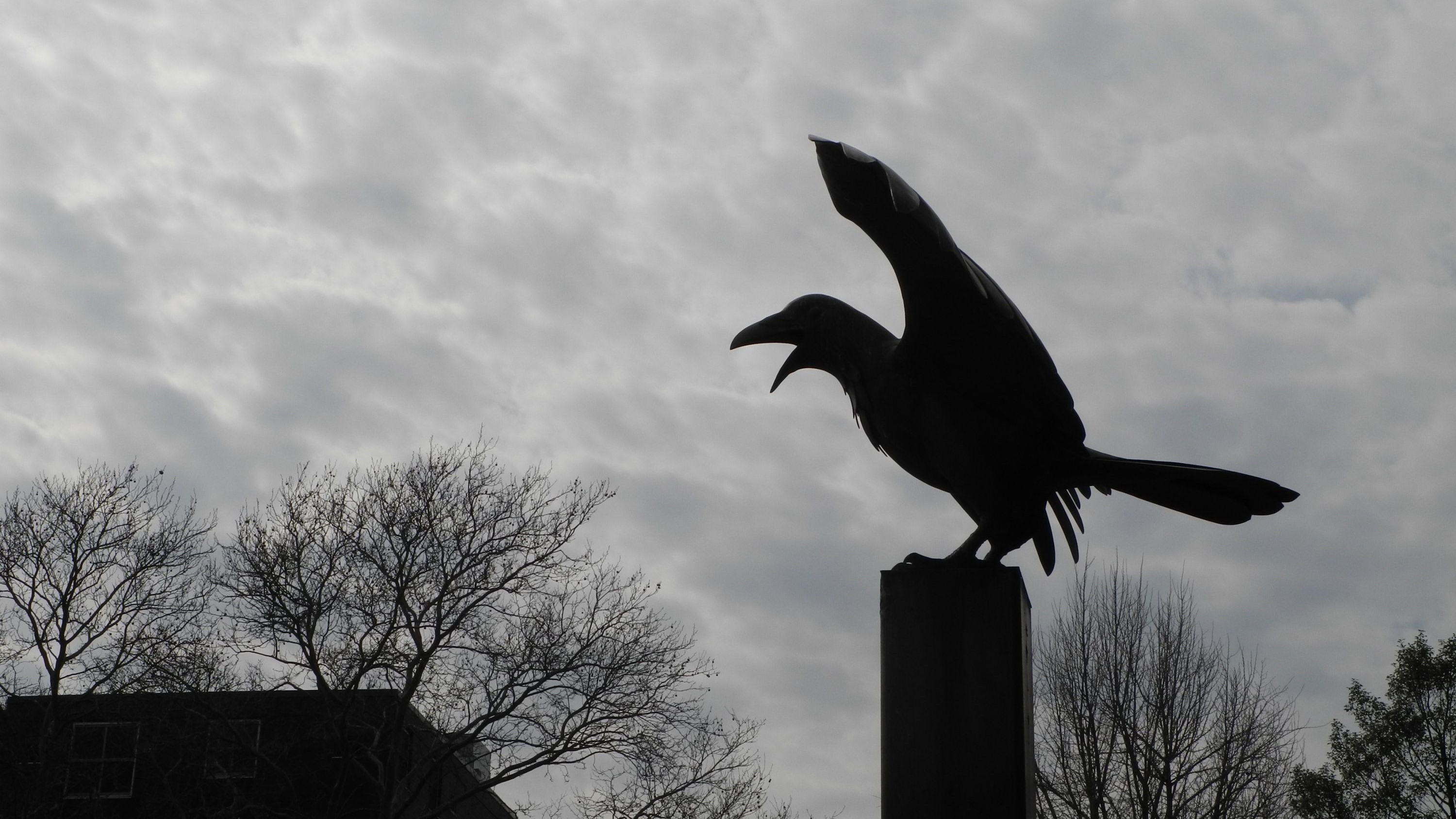 Endlose Faszination: Andreas Nohl über Edgar Allan Poe, den Magier des Grauens