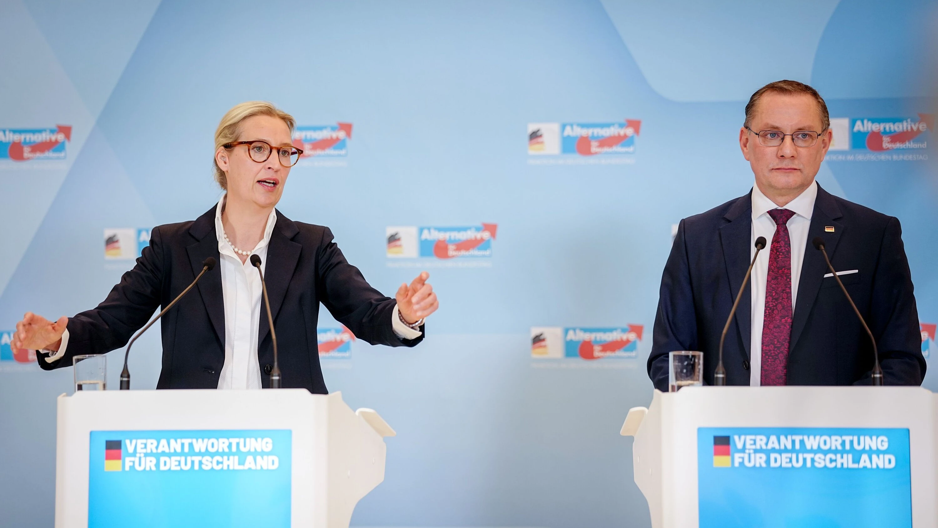 Dilemma um AfD-Verbot: Wenn sich der Pudding nicht an die Wand nageln lässt Dilemma um AfD-Verbot: Wenn sich der Pudding nicht an die Wand nageln lässt
