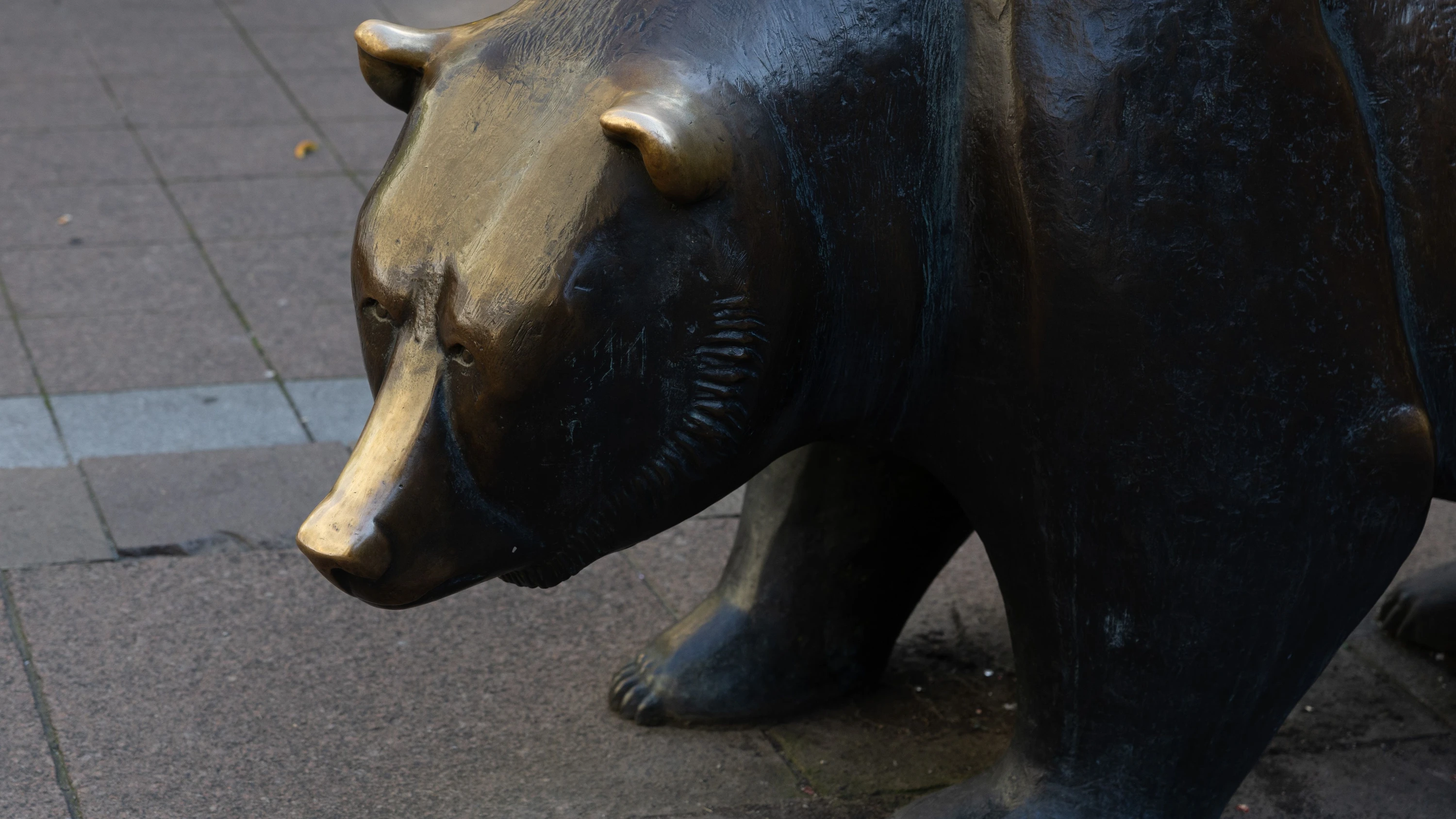 Der Bär steht derzeit im Mittelpunkt: Skulptur auf dem Frankfurter Börsenplatz - Anton Vester