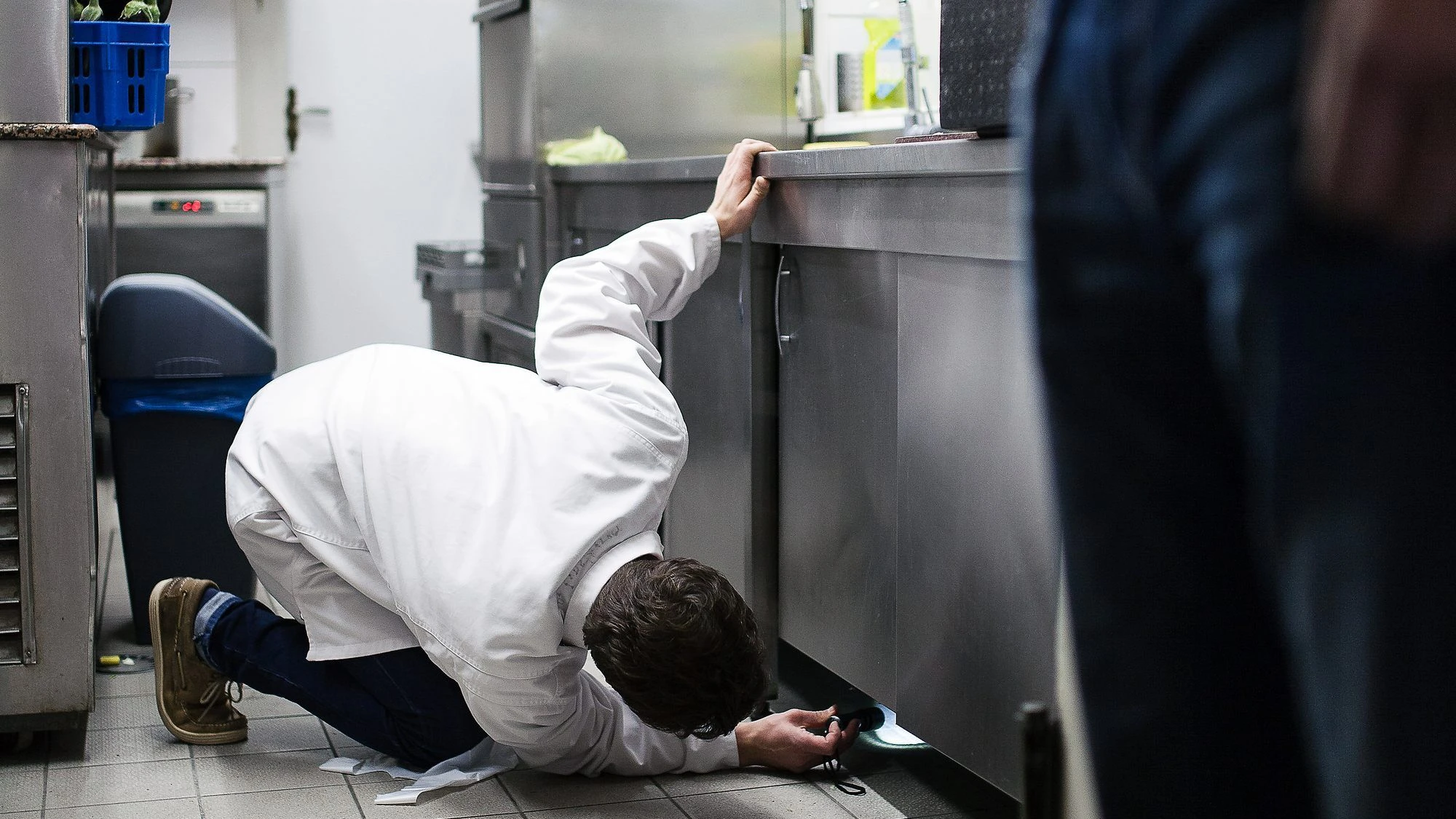 Gastronomie und Hygiene: „Eine Eiswürfelschaufel wurde in unmittelbarer Nähe zur toten Ratte gelagert“