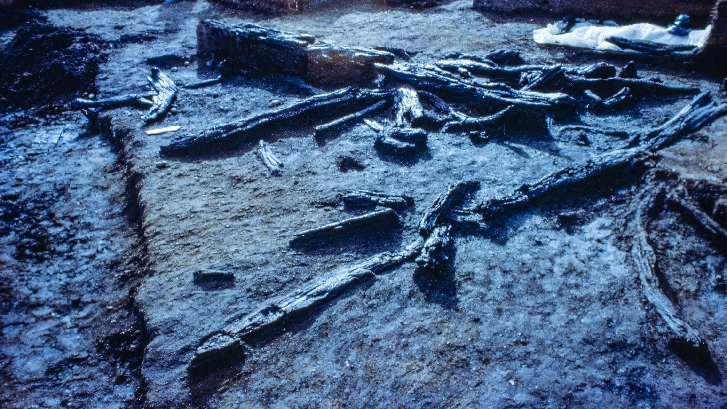 Besiedelung südamerikas: Forscher liegen Jahrtausende daneben