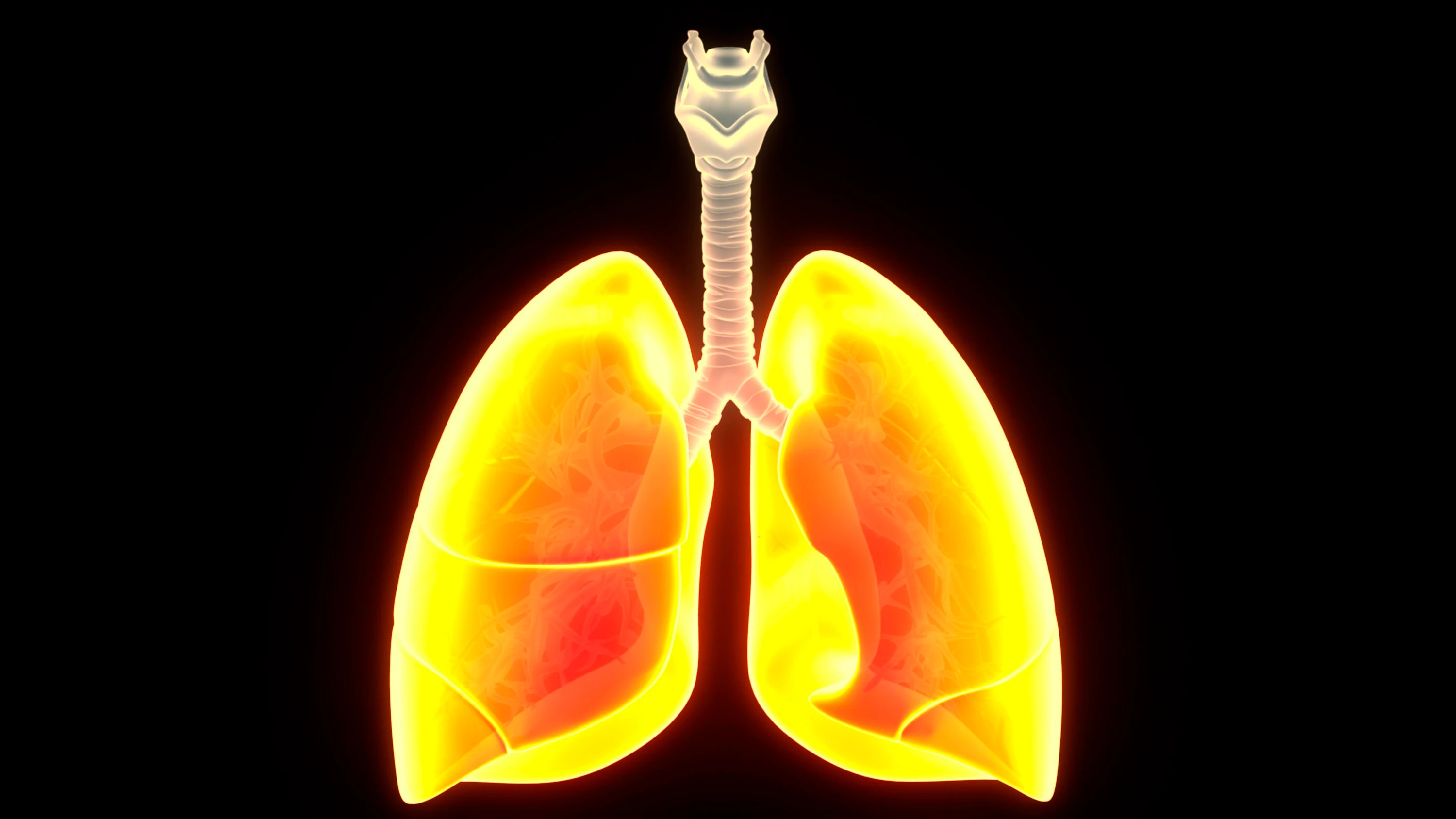 Kampf gegen Lungenfibrose: Neue Therapie-Idee für tödliche Lungenkrankheit Kampf gegen Lungenfibrose: Neue Therapie-Idee für tödliche Lungenkrankheit