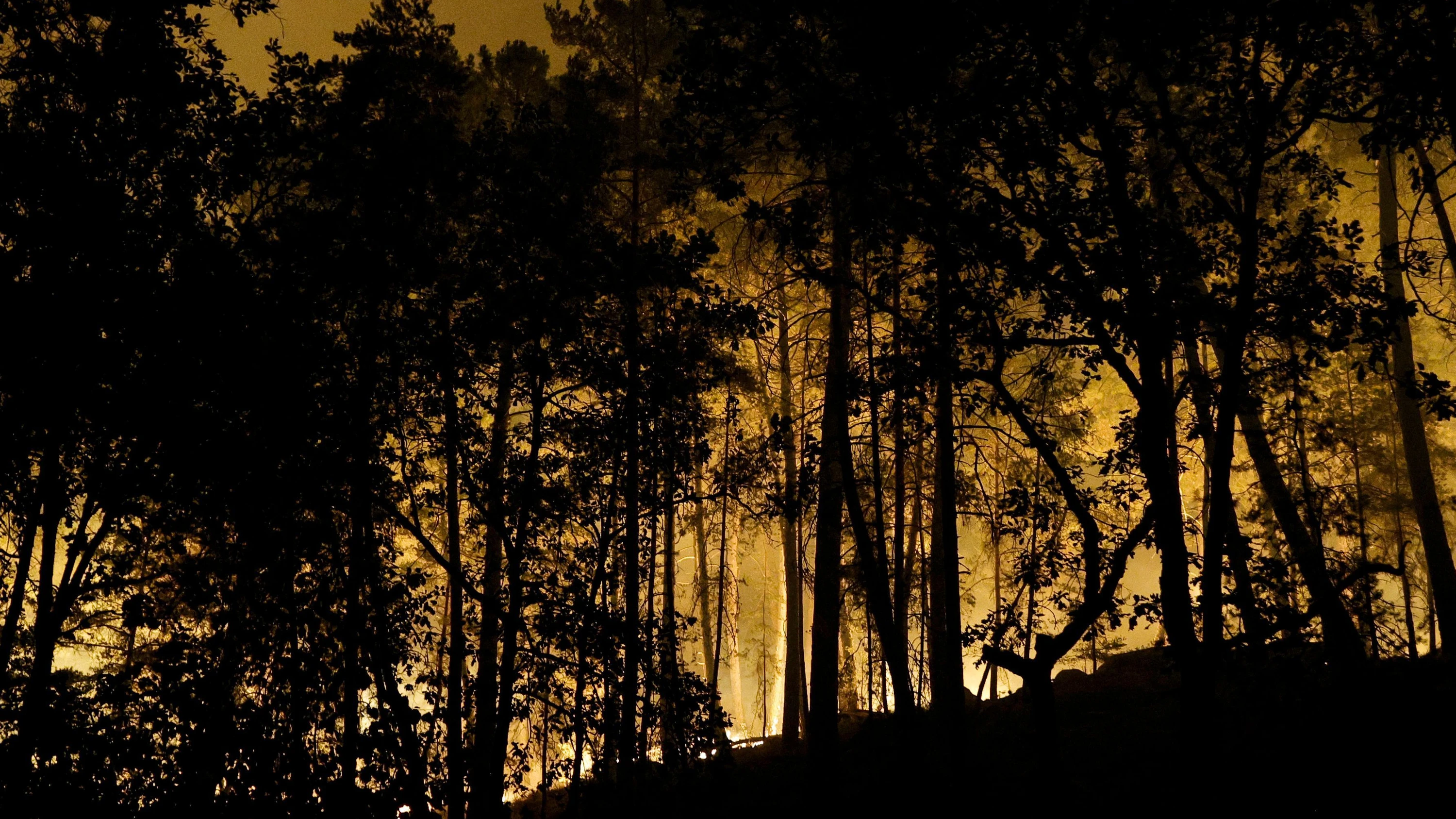 WalDBRAND bei Paris: Feuerwehrmann gesteht Brandstiftung im Wald von Fontainebleau