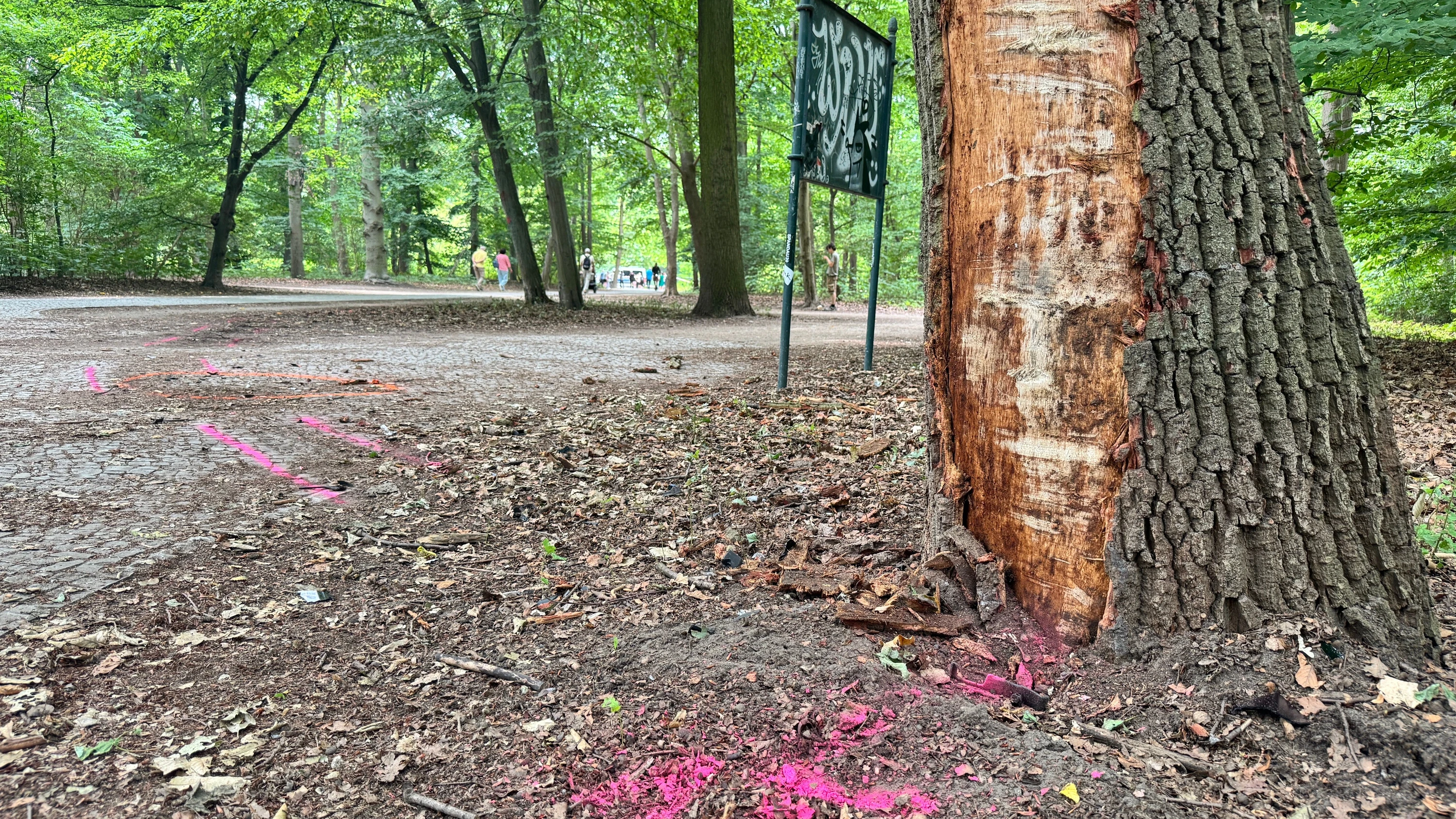 Rhein-Main-Liveblog: Mahnwache in Frankfurt nach CSD-Angriff in Berlin