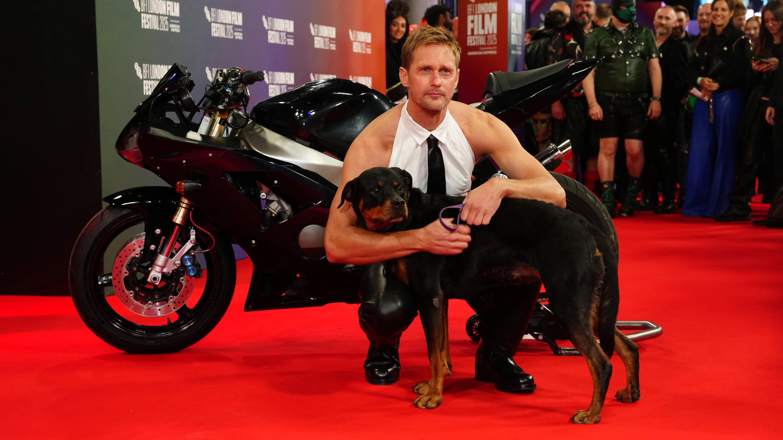 Alexander Skarsgård im Interview: „Sub-Dom-Beziehungen sieht man im Kino nicht häufig“