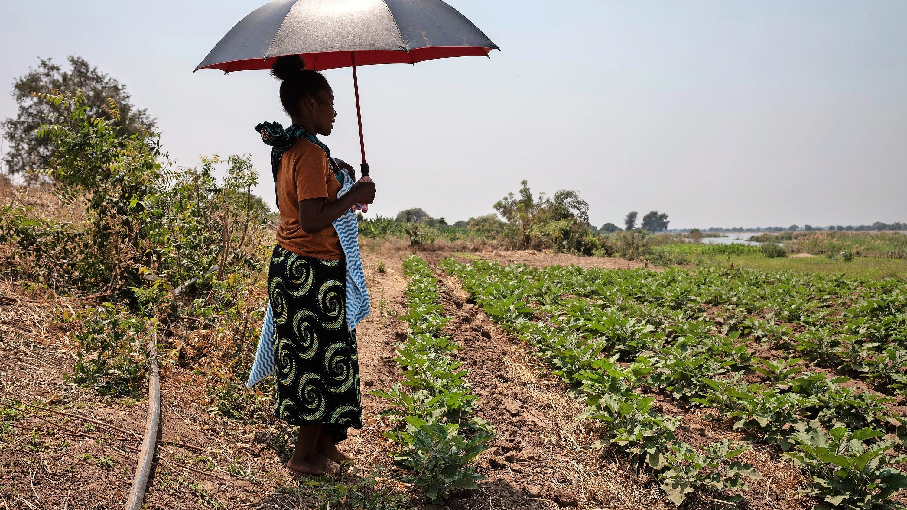 F.A.Z.-Leser helfen: Der Sambesi hat keine Macht mehr