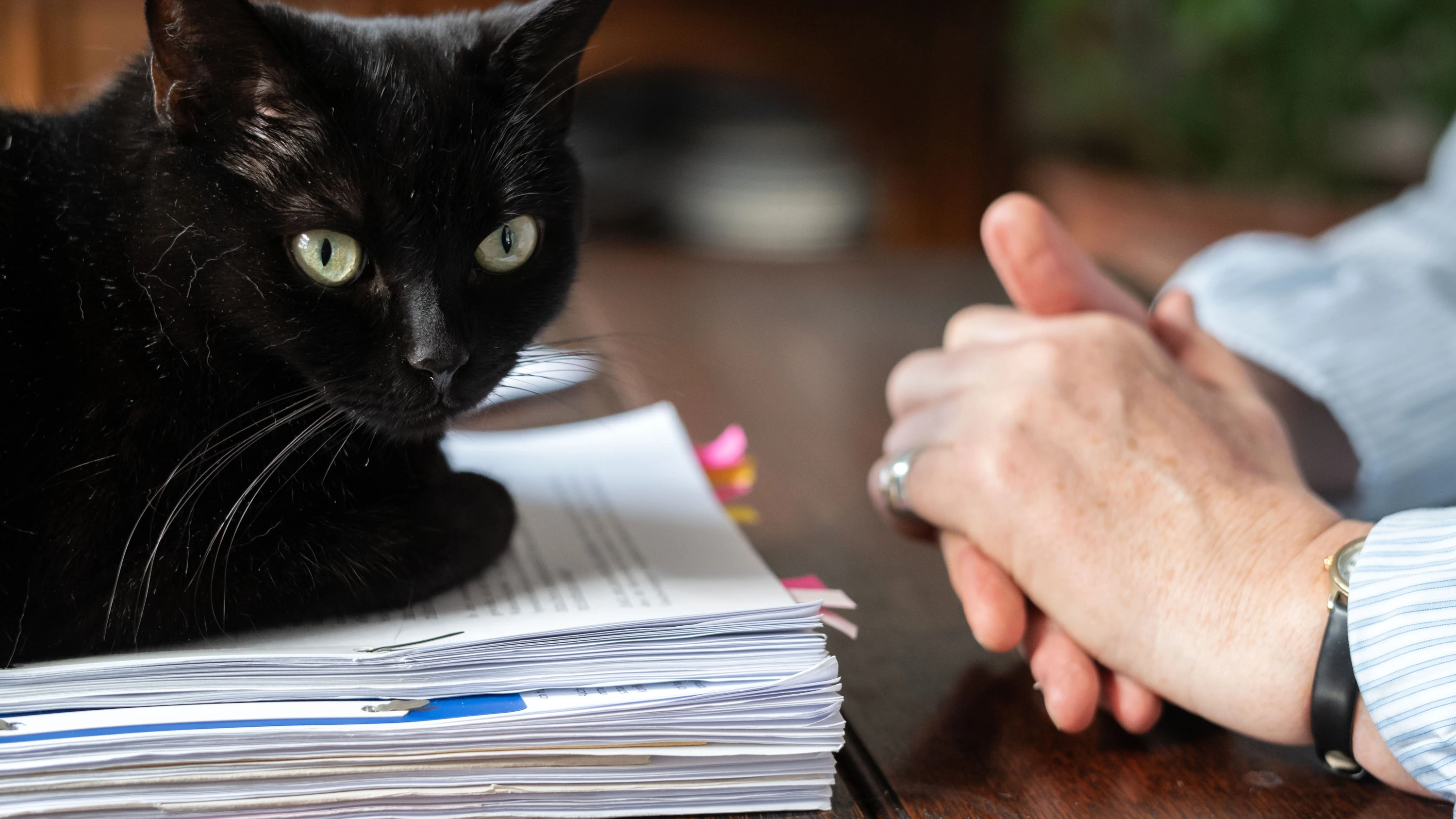 Prozess in Frankfurt: „Ich weiß nicht, ob ich 35 oder 600 Geschwister habe“