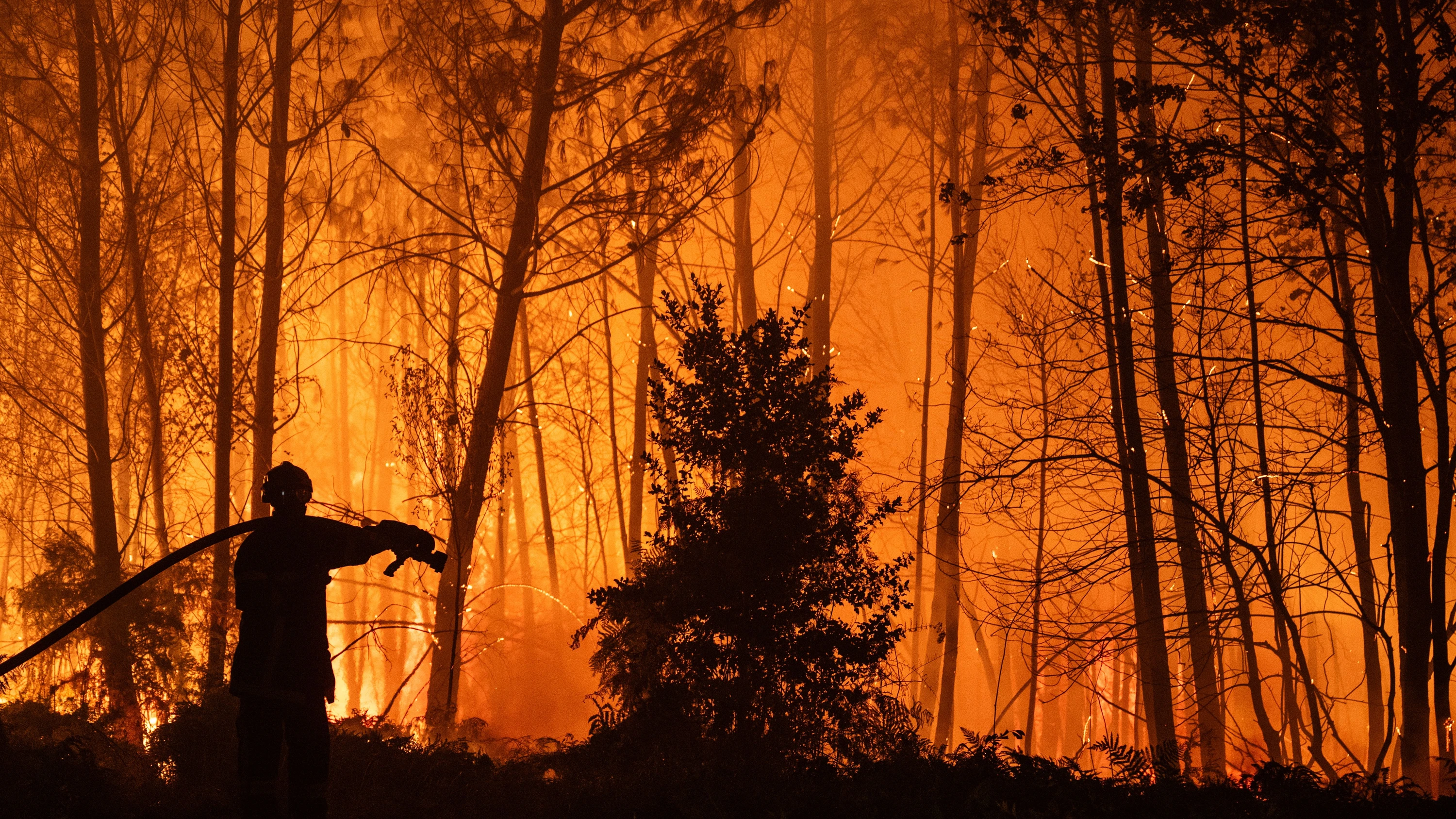 Waldbrände in SüDEUROPA: Wenn aus Feuergewitterwolken Blitze zu Boden zucken