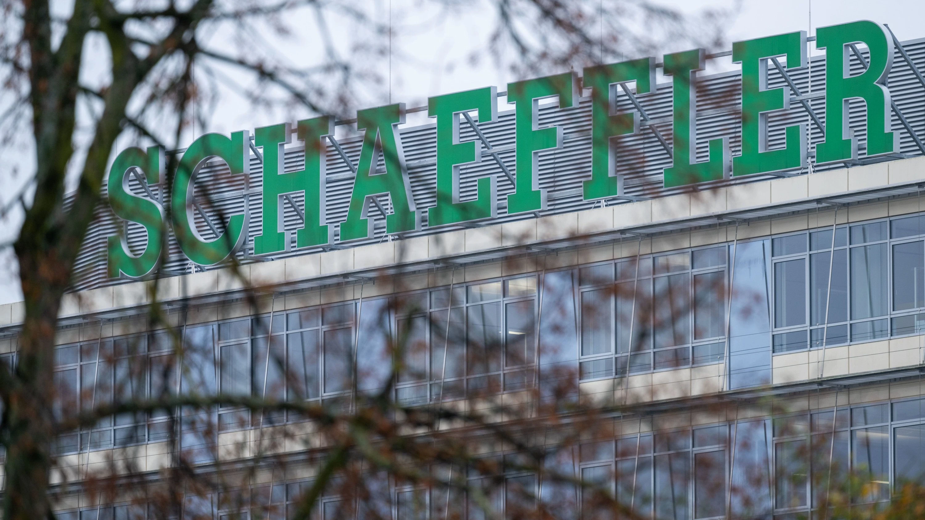 Autozulieferer: Schaeffler leidet in China