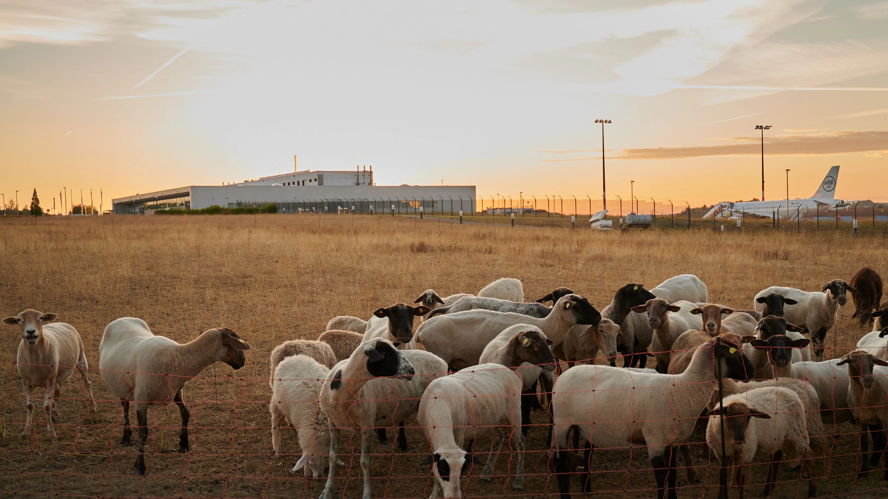 Millionengrab Kassel Airport: Prüfung von Kassel-Calden ist überfällig