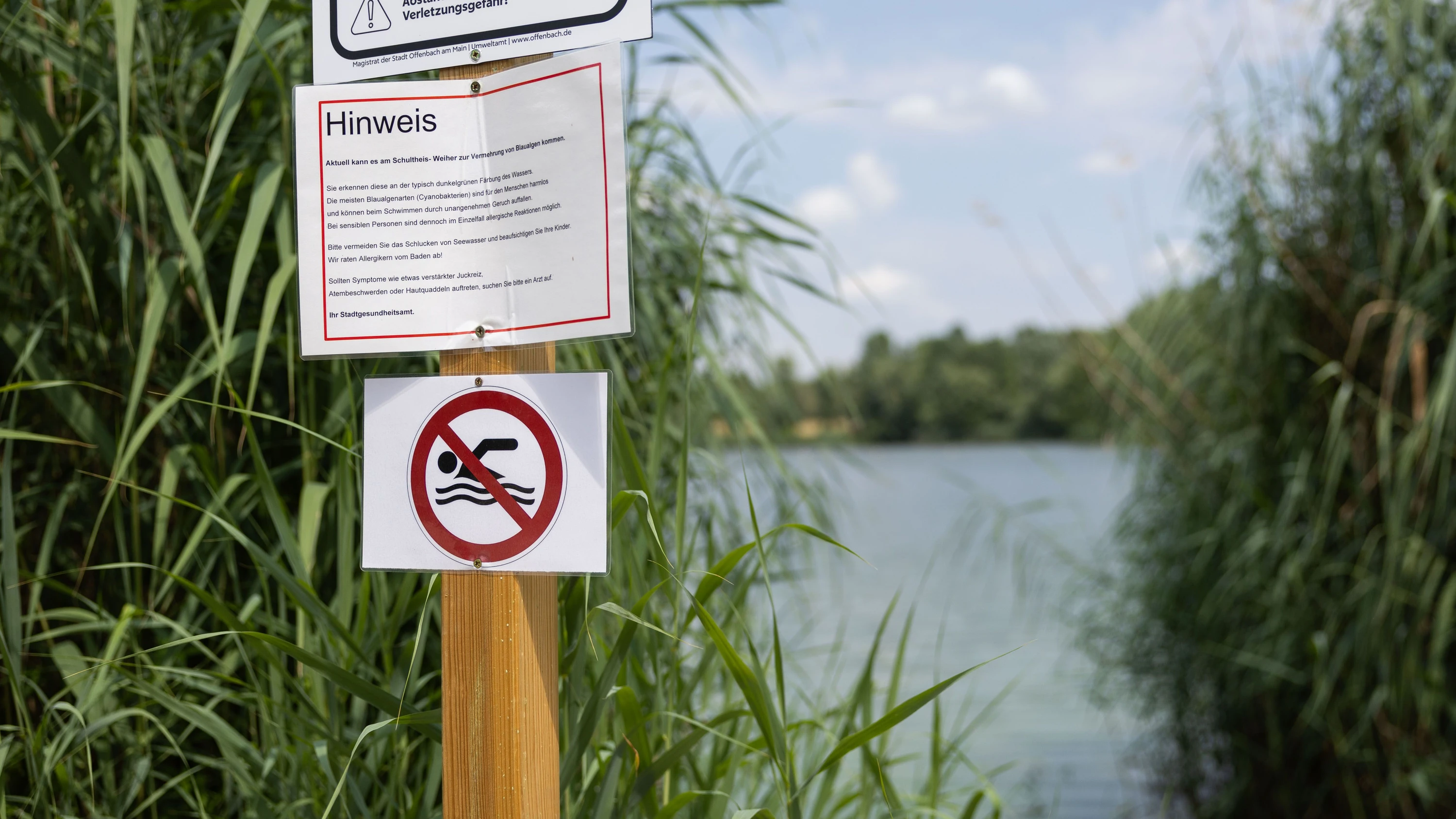 „Baden auf eigene Gefahr“: Von diesen hessischen Seen raten Gesundheitsämter ab