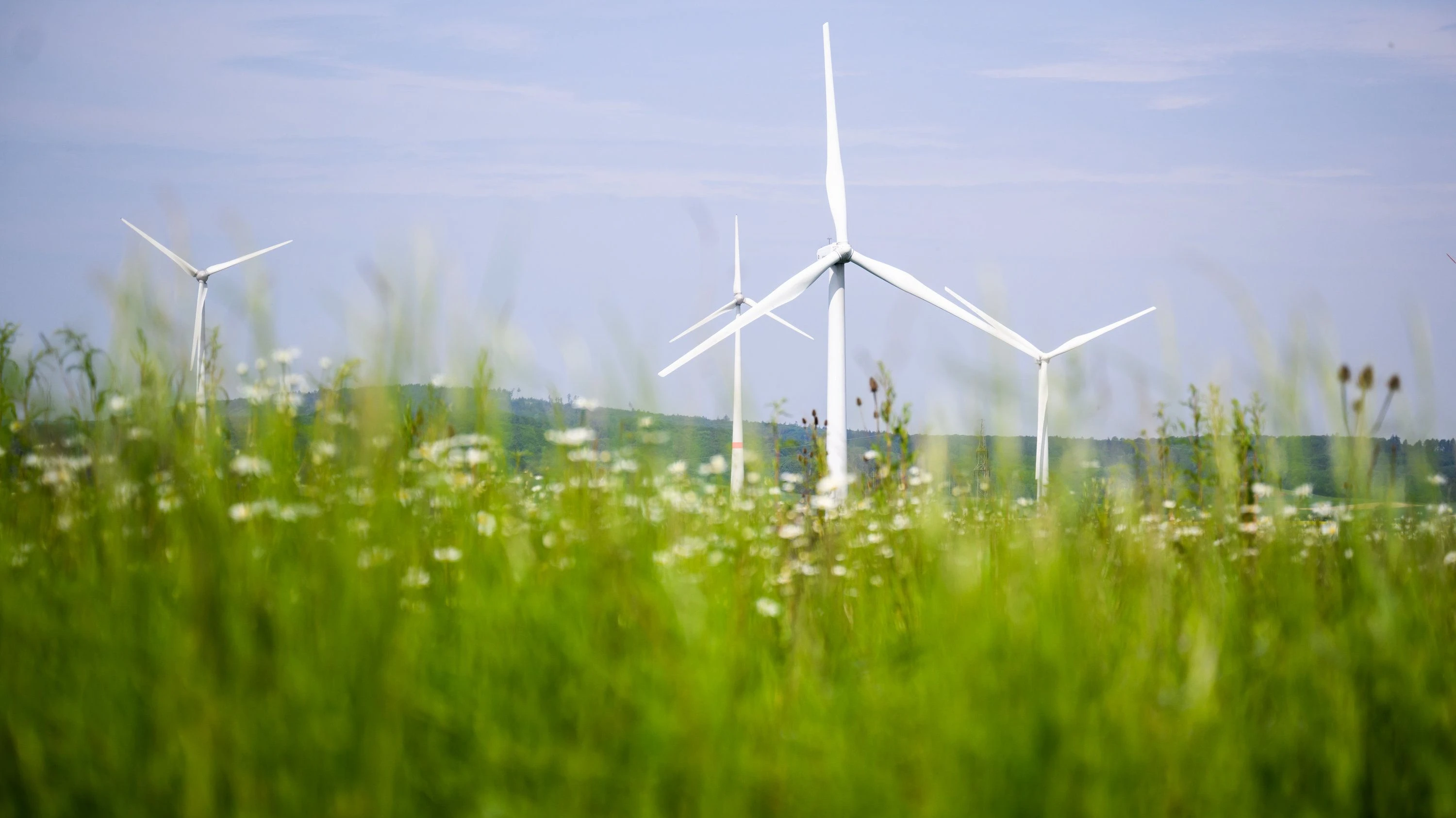 Wind: Der Süden braucht viel Strom – und produziert wenig