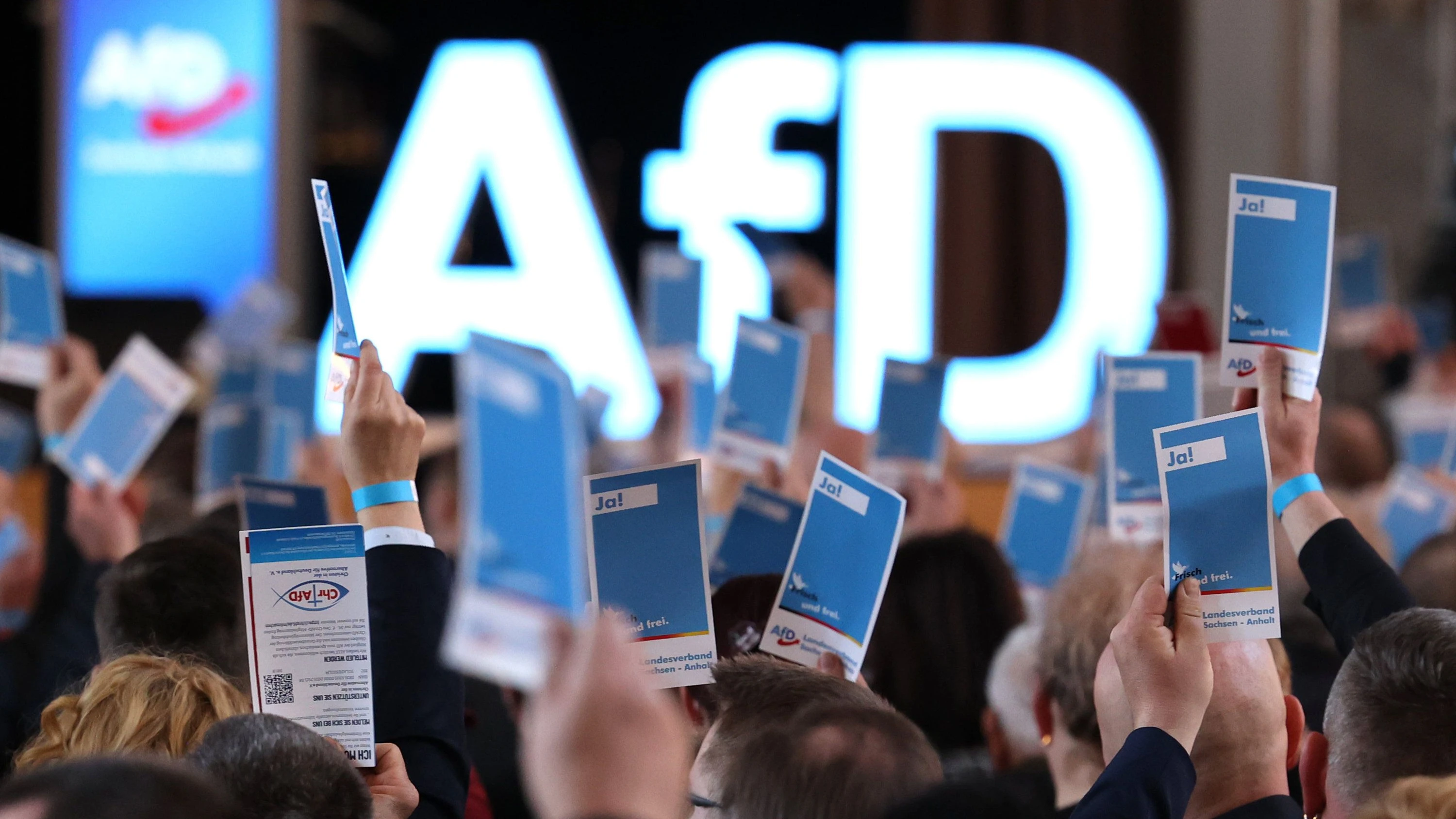 Vetternwirtschaft bei der AfD: Alles für die Familie