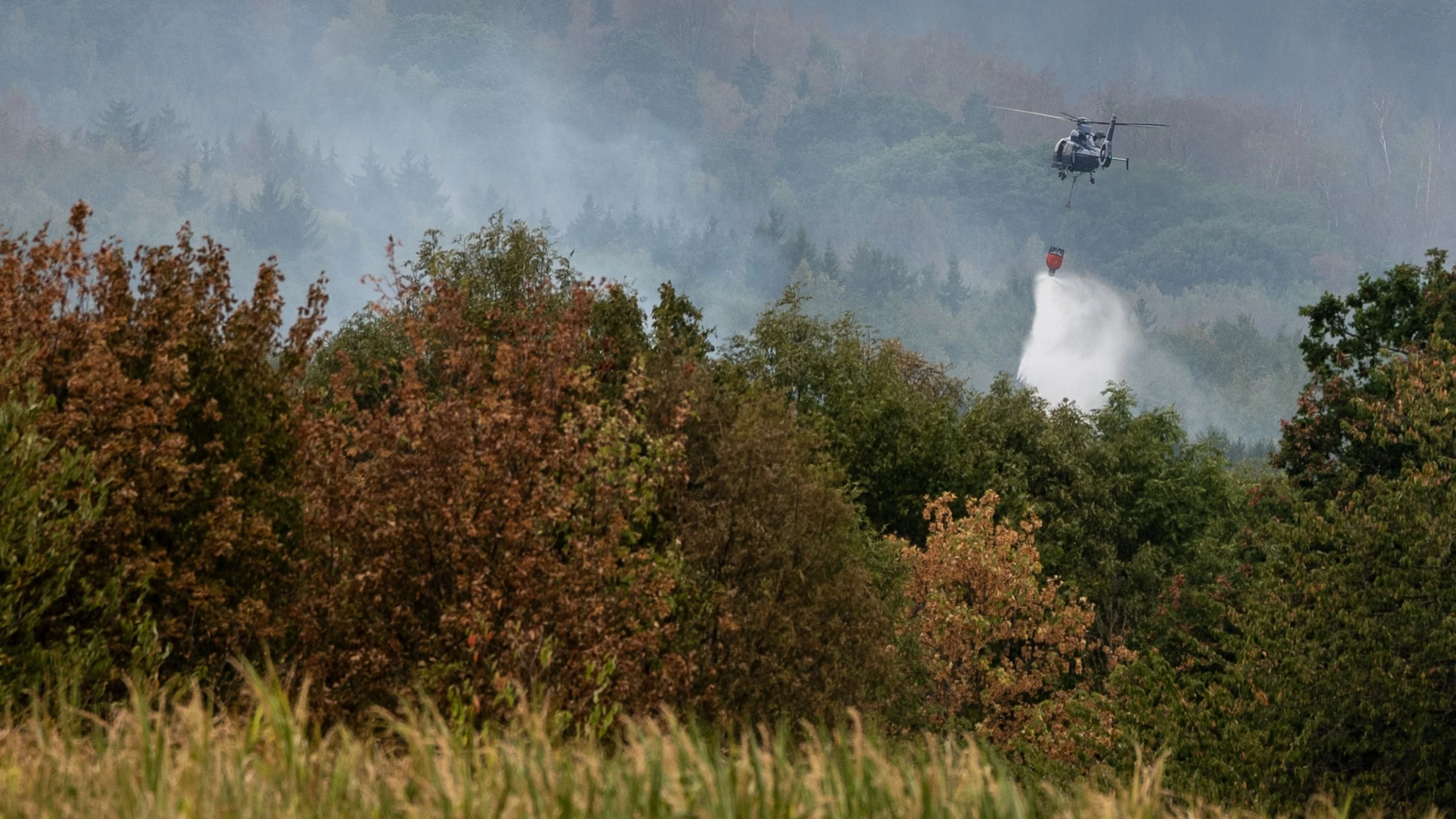Waldbrand in der Eifel: „Wir müssen um jeden Preis verhindern, dass das Feuer auf die andere Seite springt“