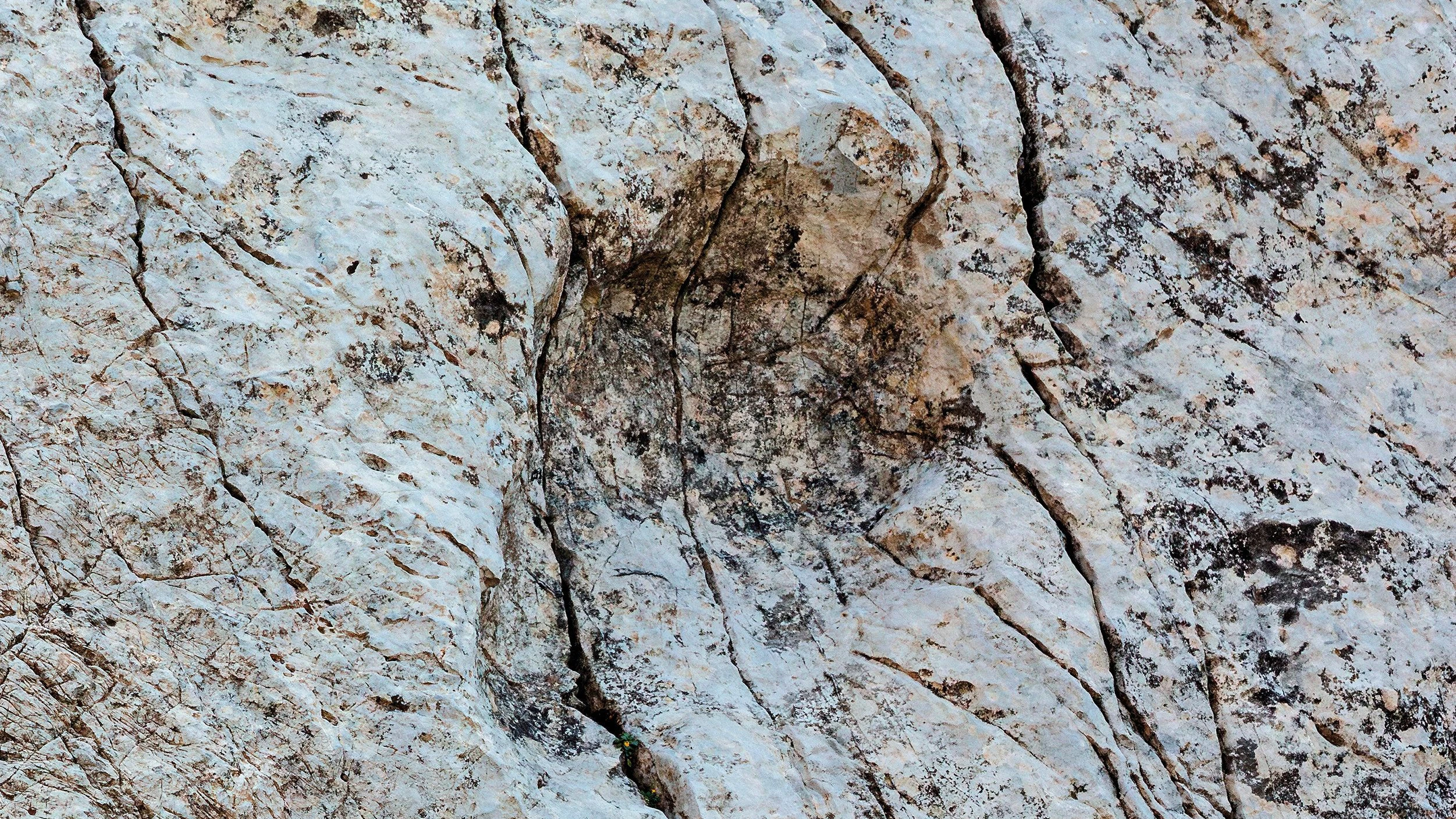 In Norditalien: Forscher entdecken einzigartige Dinosaurier-Spuren