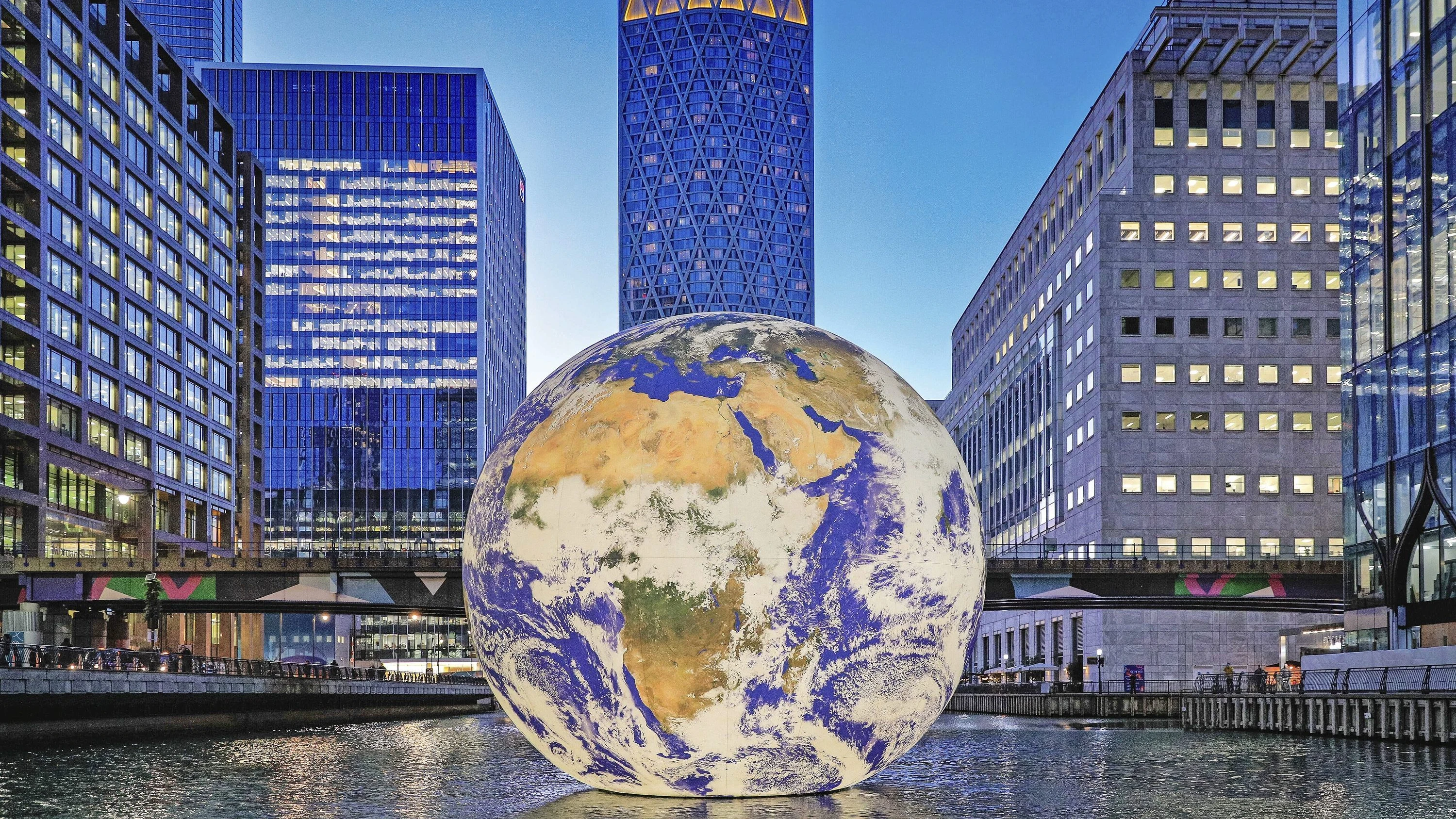 Planetares Denken: Ewig streamen die Wälder