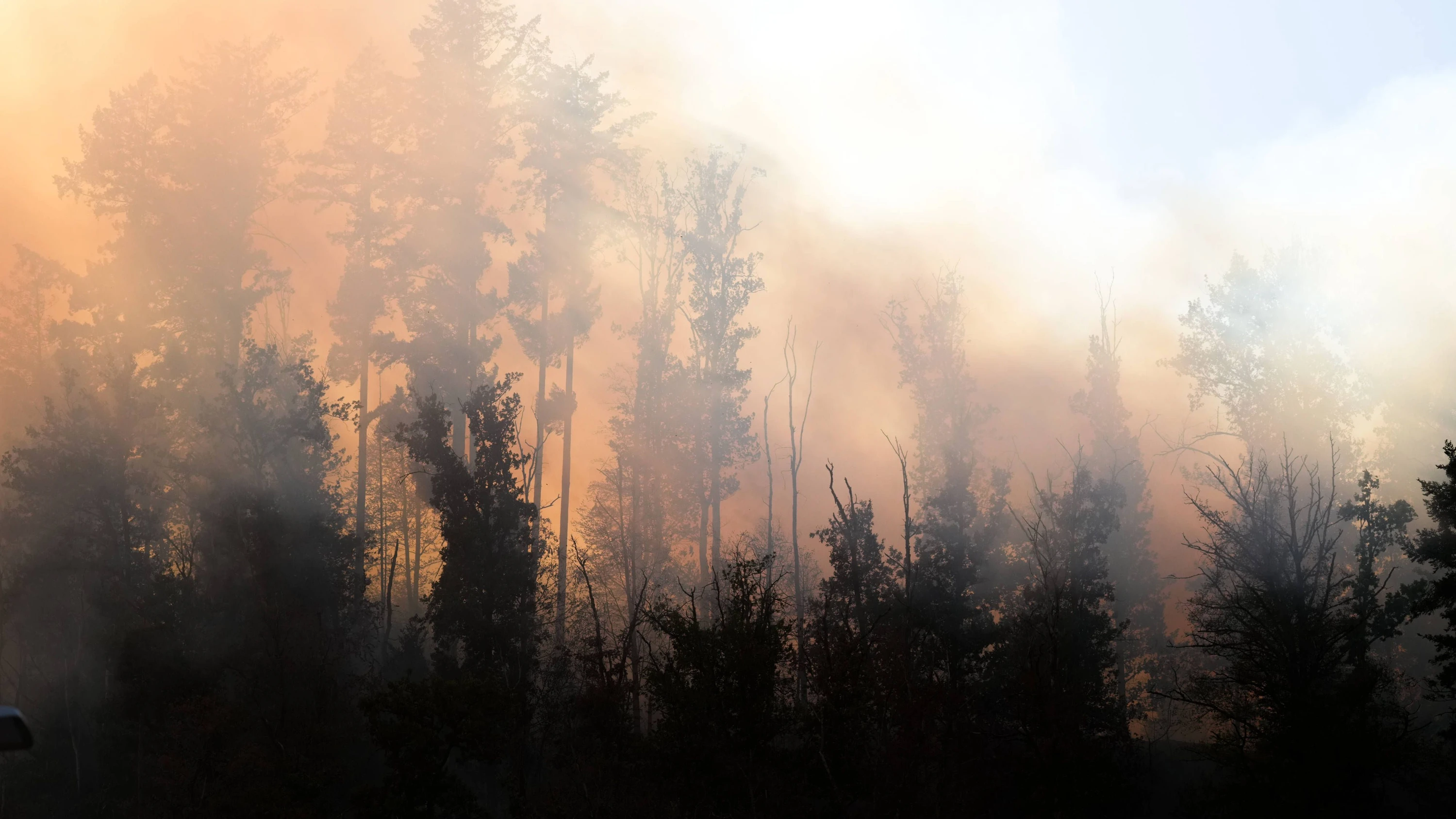 WALDBRÄNDE bei Offenburg: Wenn der Schwarzwald brennt WALDBRÄNDE bei Offenburg: Wenn der Schwarzwald brennt