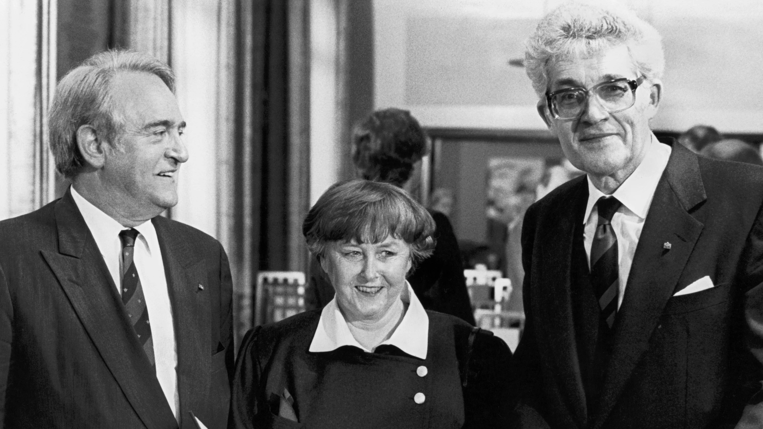 Politische Bücher: Schnörkelloser Rückblick