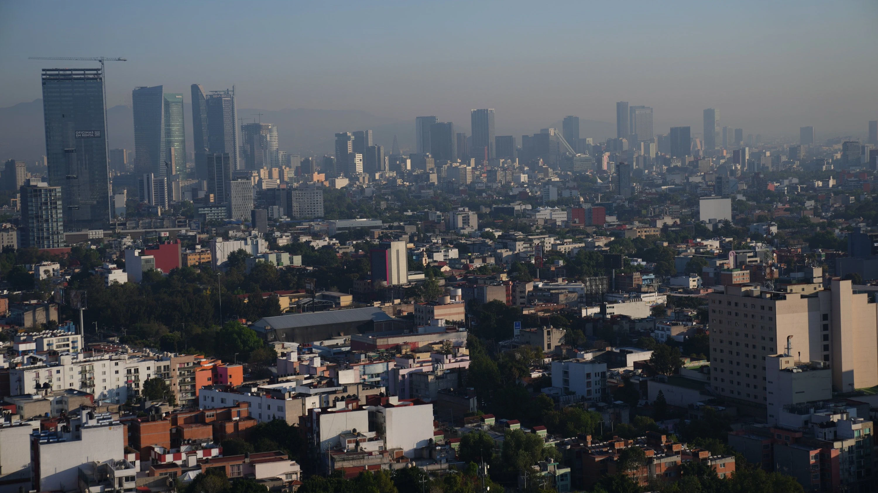Bisher ein Toter: Erdbeben der Stärke 6,5 erschüttert Mexiko Bisher ein Toter: Erdbeben der Stärke 6,5 erschüttert Mexiko
