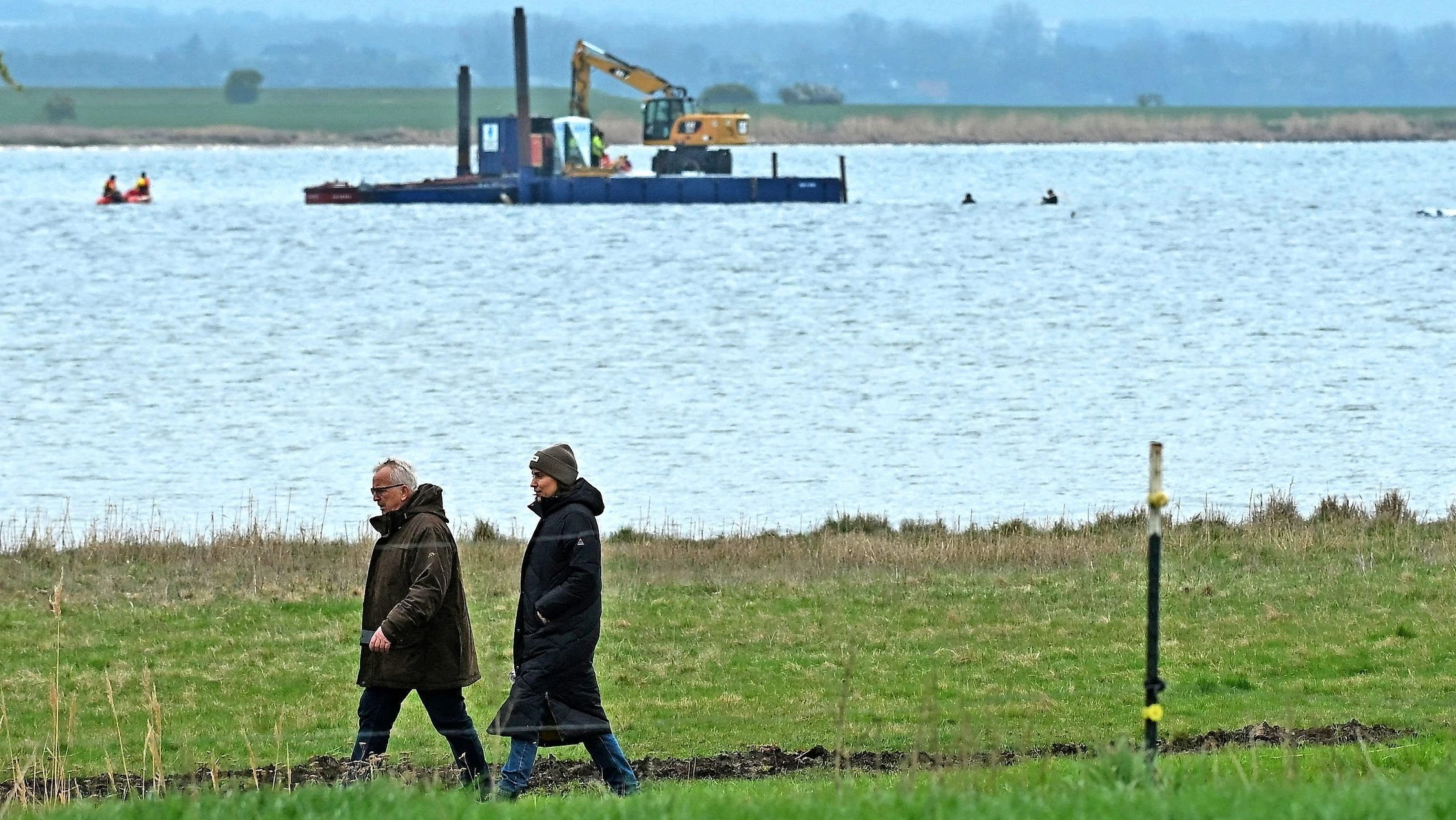 Gestrandeter Buckelwal: Erst Walkampf, dann Wahlkampf