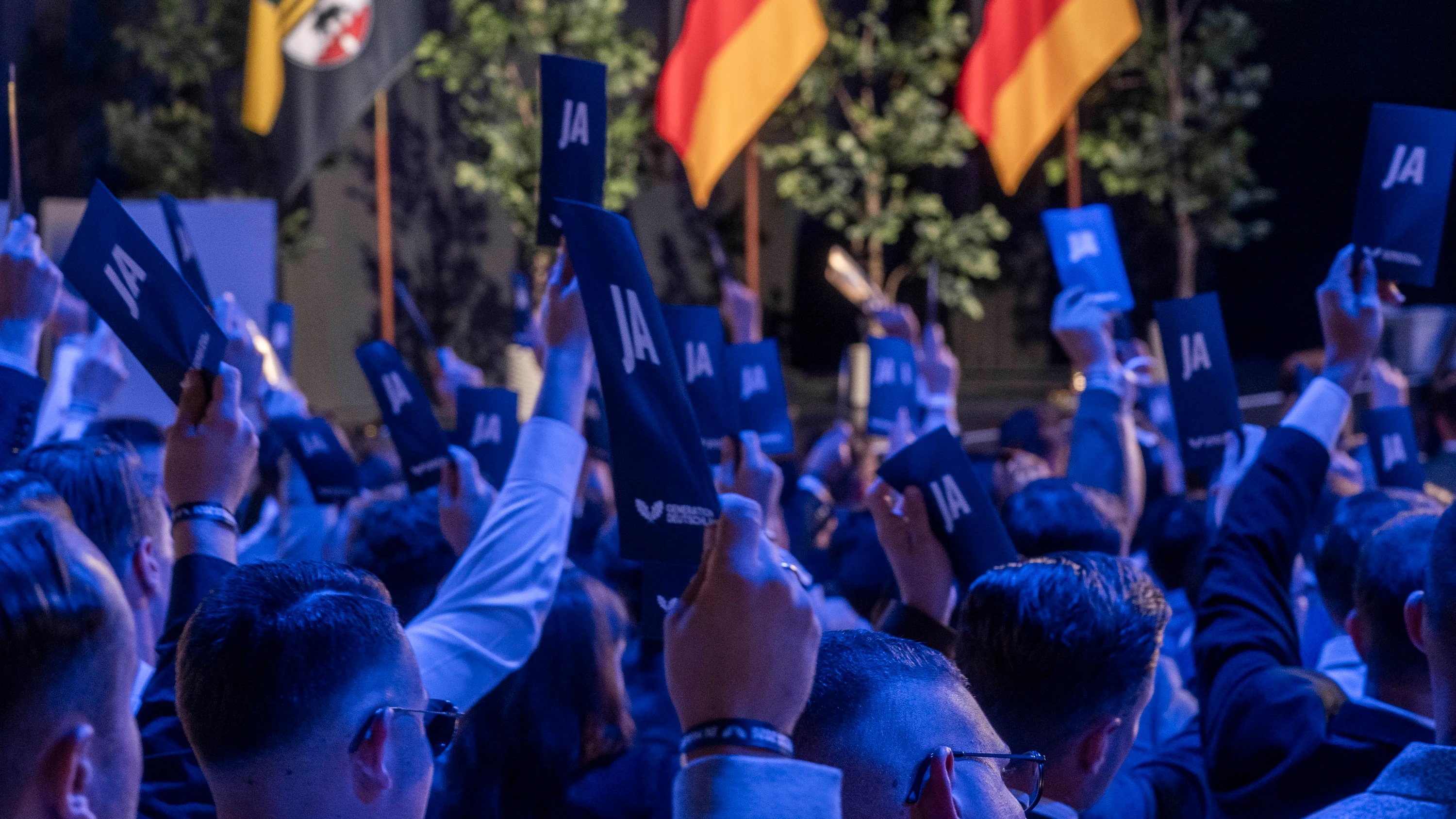 Debatte über Leitantrag: Warum die AfD-Jugend mit Europa hadert