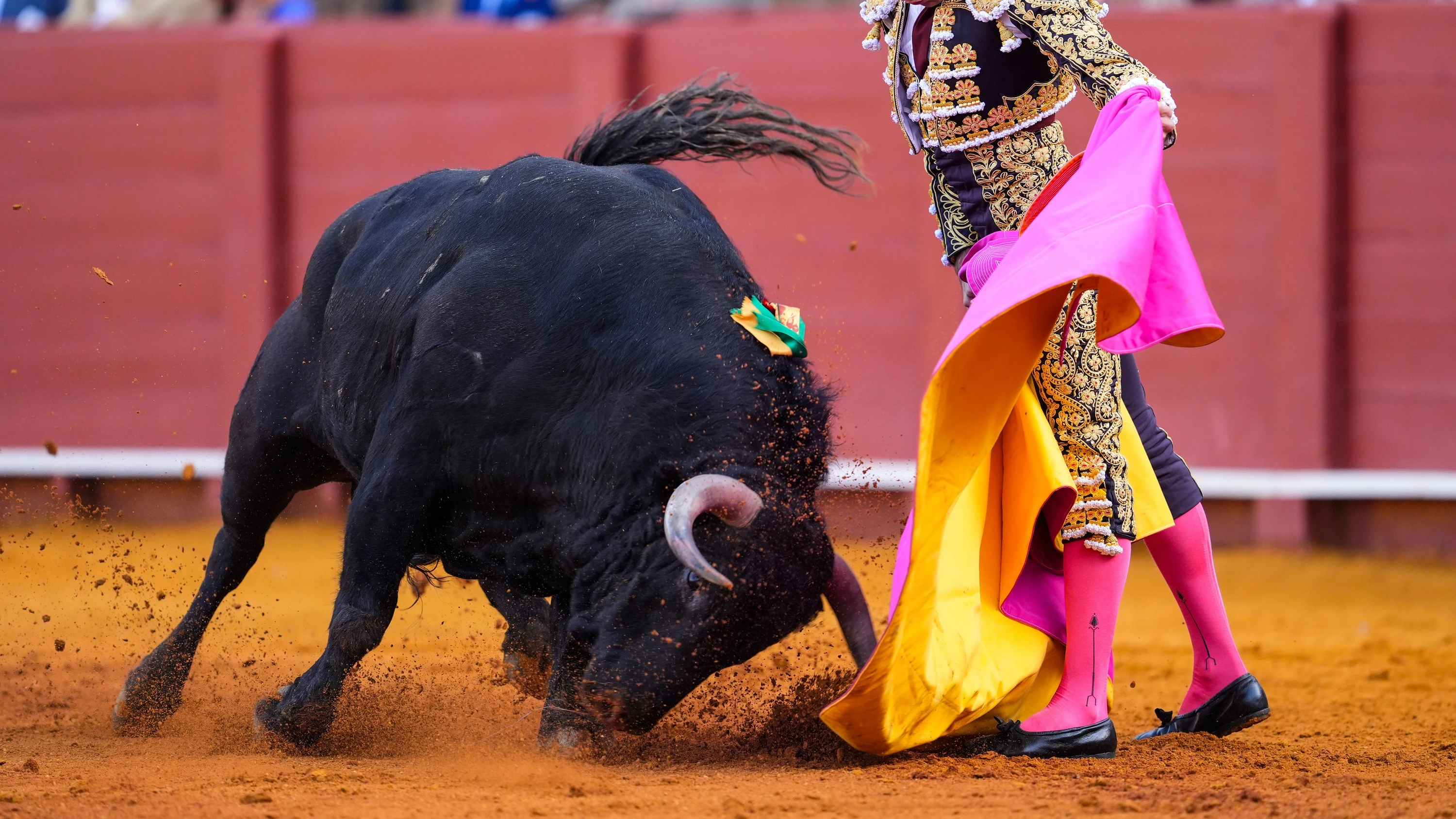 Stier und Stierkämpfer: In Madrid, Sevilla, Valencia und anderen traditionellen Zentren finden weiterhin Corridas statt. - Joaquín Corchero/EUROPA PRESS/