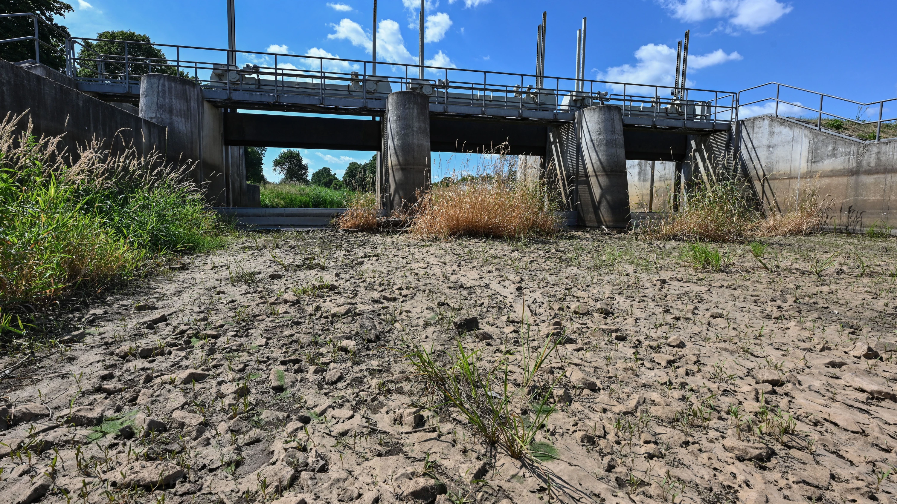 Forscher: Wasserdefizit in Deutschland verschlimmert sich