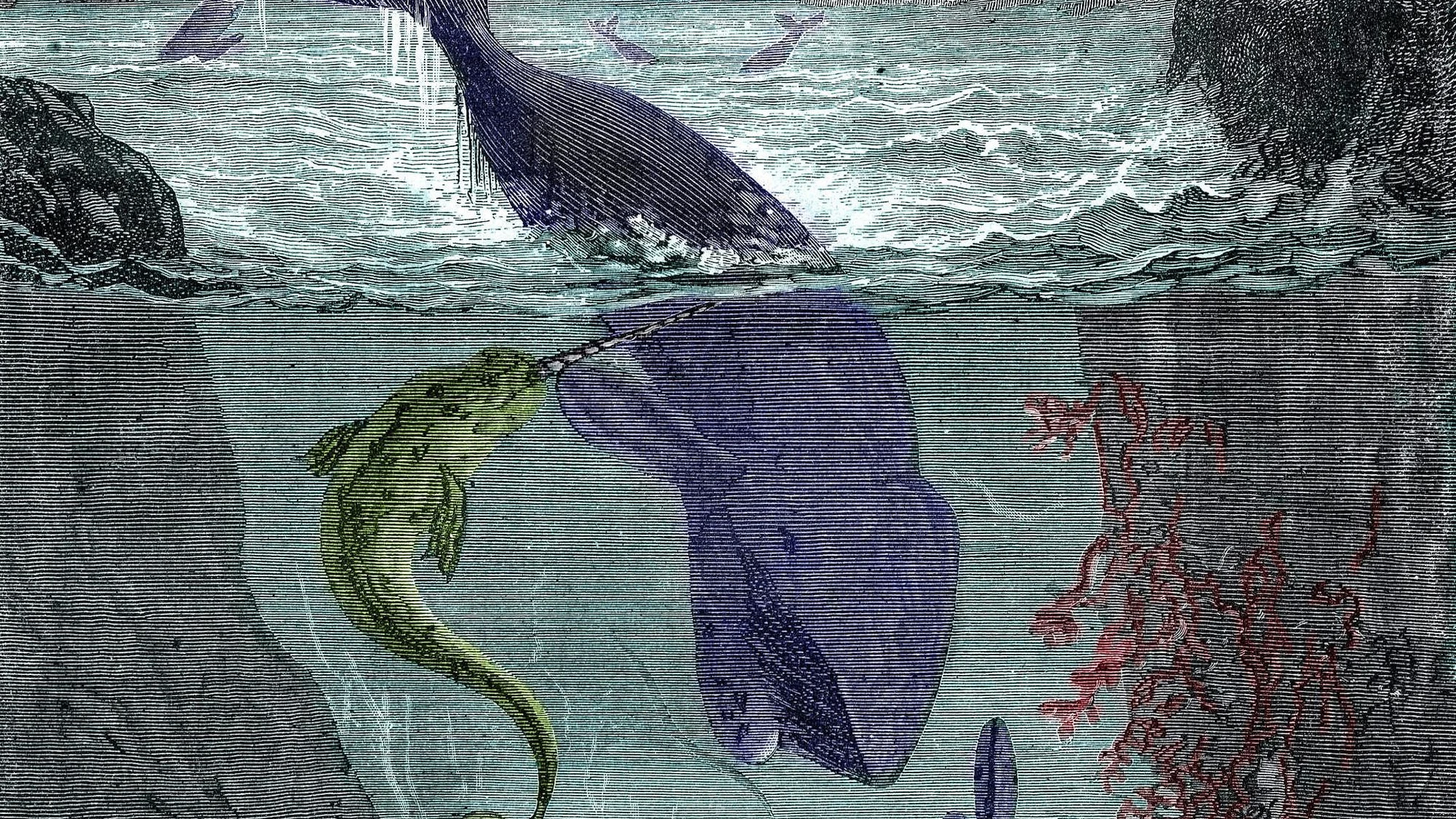 Hübner liest Verne: Unendlich größer und rascher als ein Walfisch