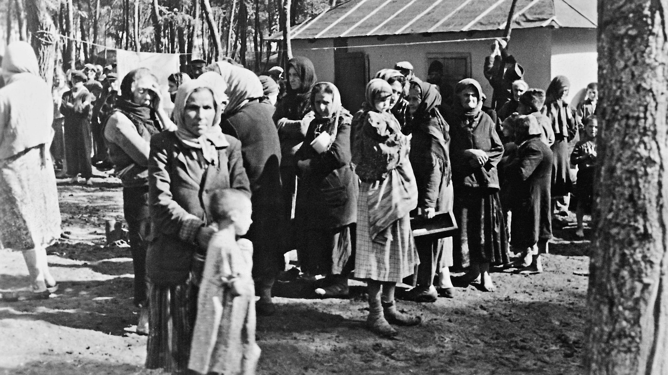 Rumäniens Geschichtspolitik: Fatale Entlastungslogik