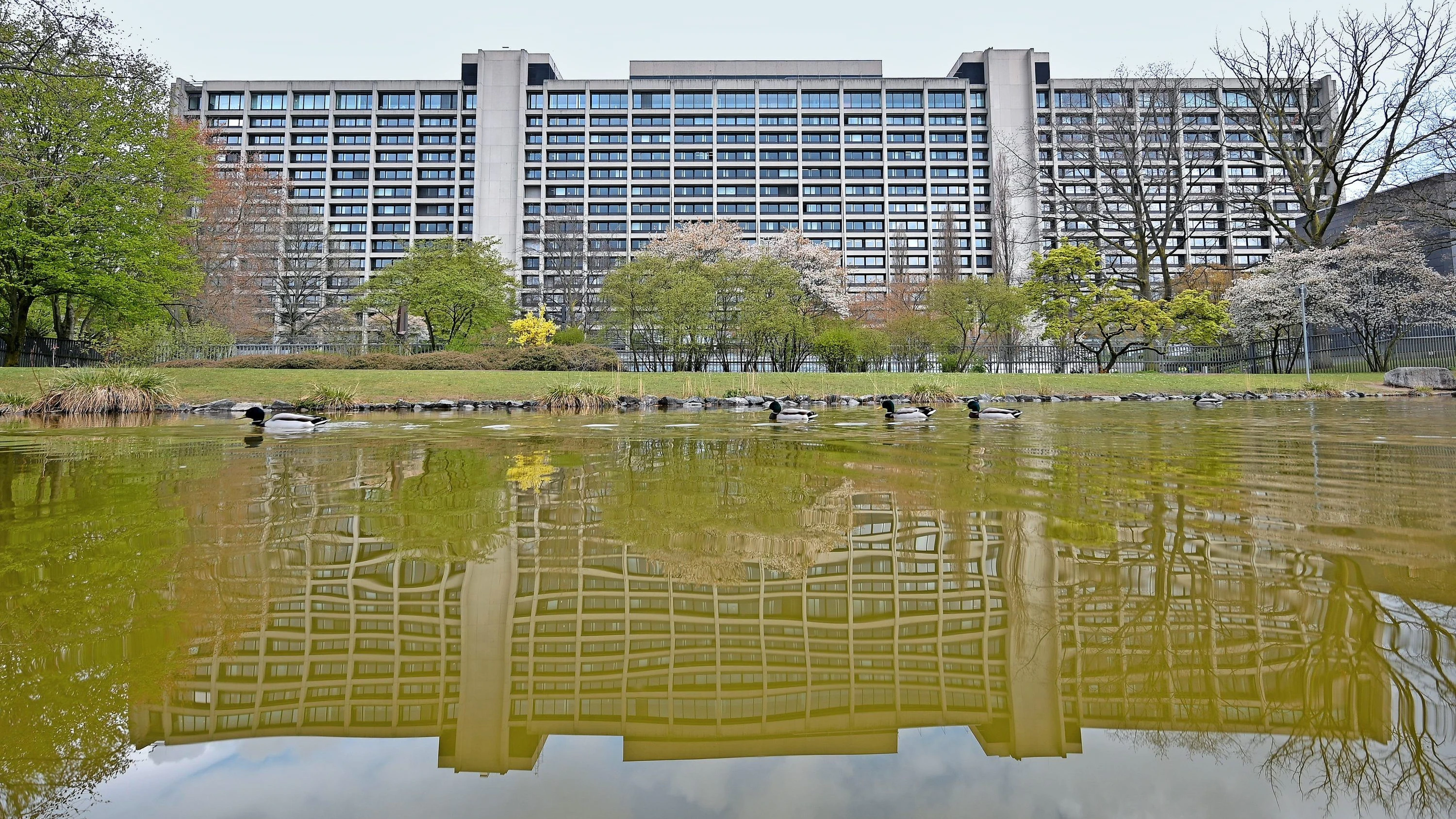 Notenbank muss umziehen: Die Bundesbank sucht die Super-Immobilie