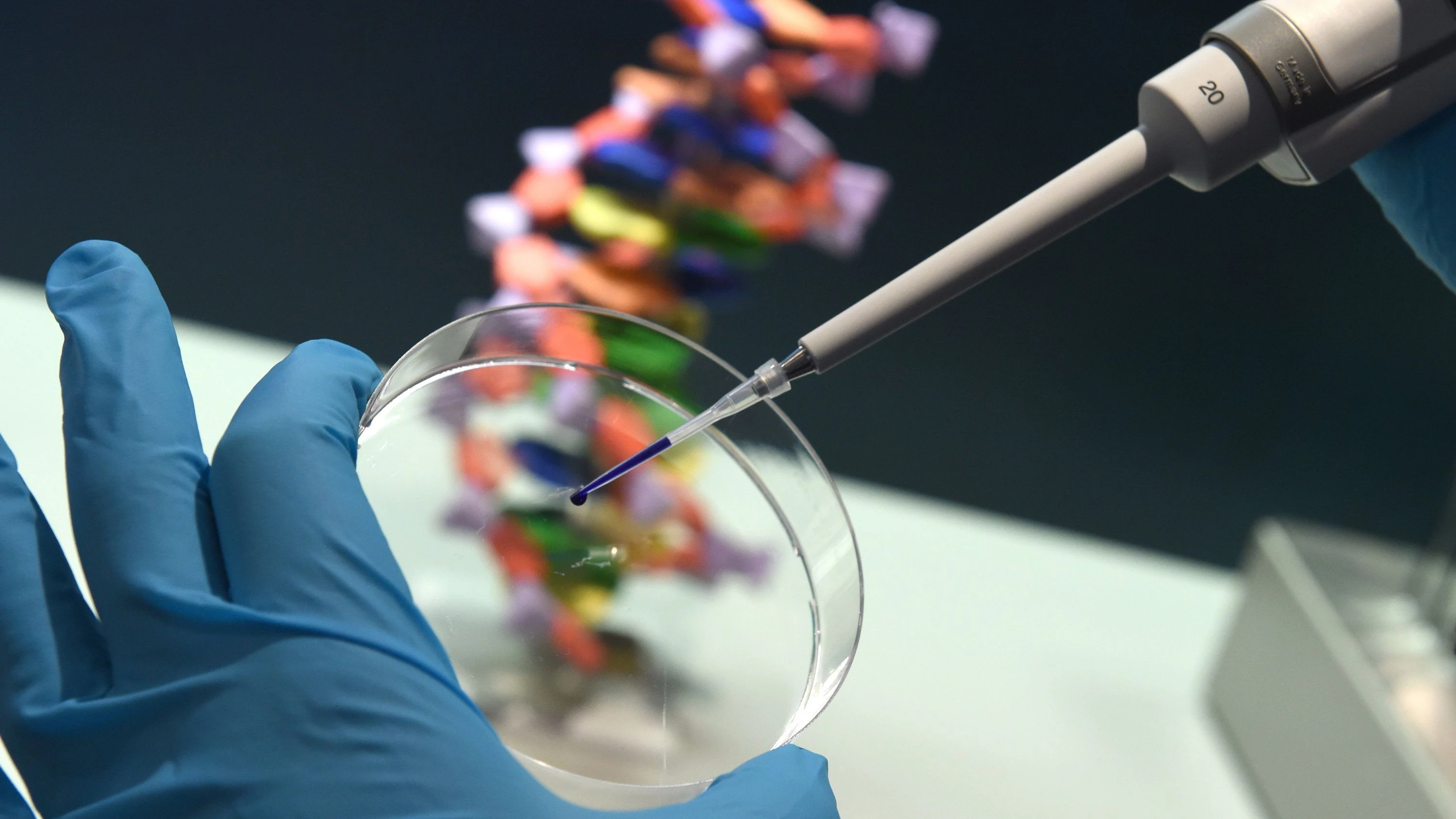 Genetiker Adrian Woolfson: ChatGPT, erschaffe mir ein neues Lebewesen! Genetiker Adrian Woolfson: ChatGPT, erschaffe mir ein neues Lebewesen!