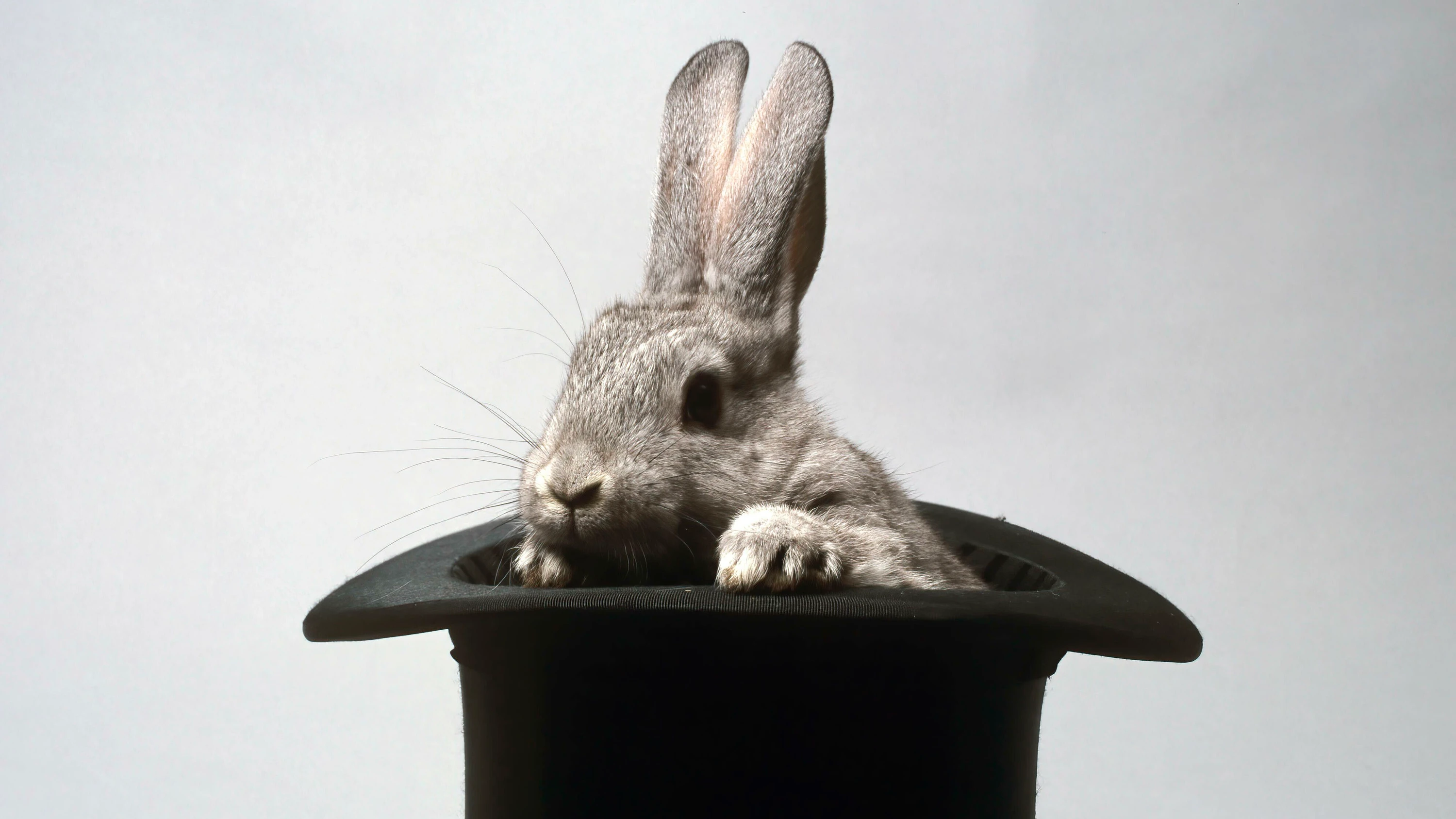 Arten der Zauberei: Die gute und die böse Täuschung Arten der Zauberei: Die gute und die böse Täuschung