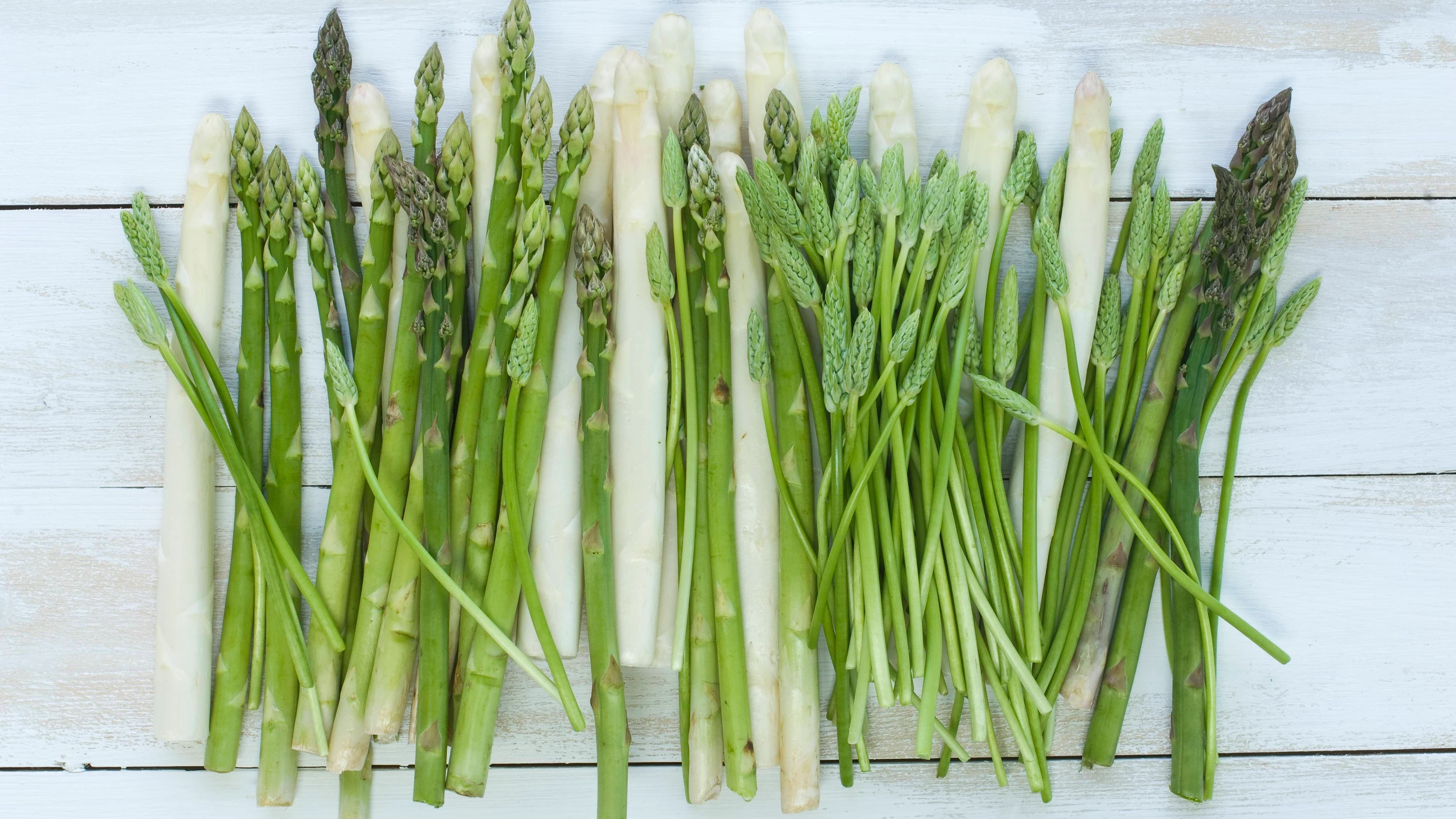 Botanik-Kolumne: Eine wilde Spargelsaison